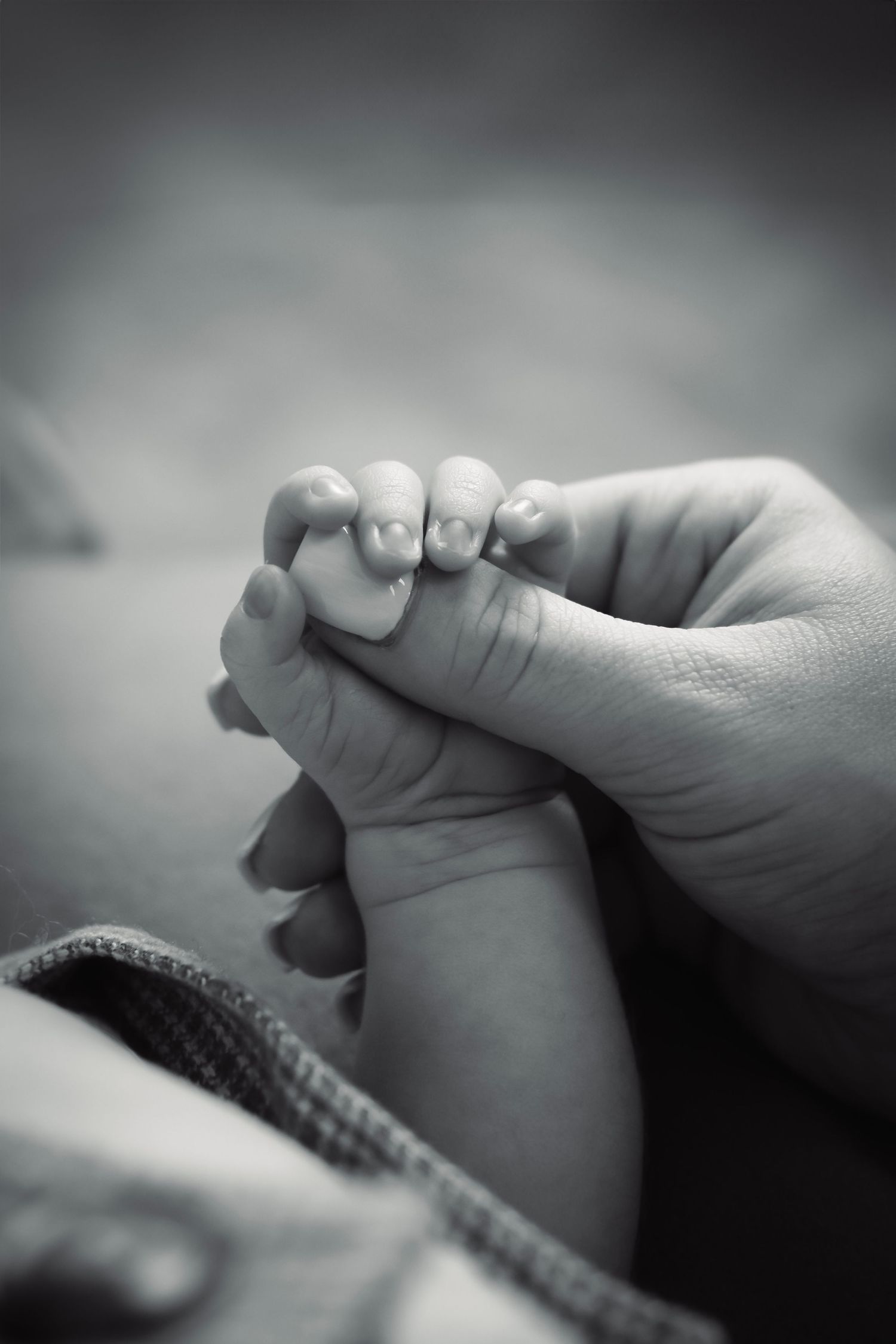 Close-up black and white image of tiny baby feet being gently held.