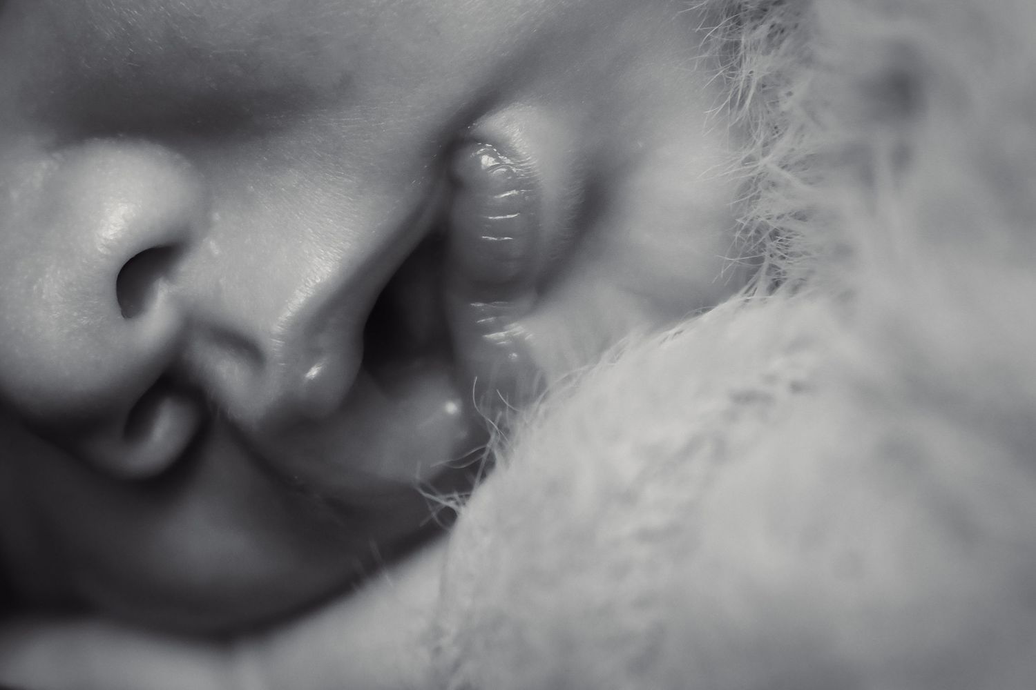 Sleeping newborn wrapped in cozy grey blanket against neutral backdrop.