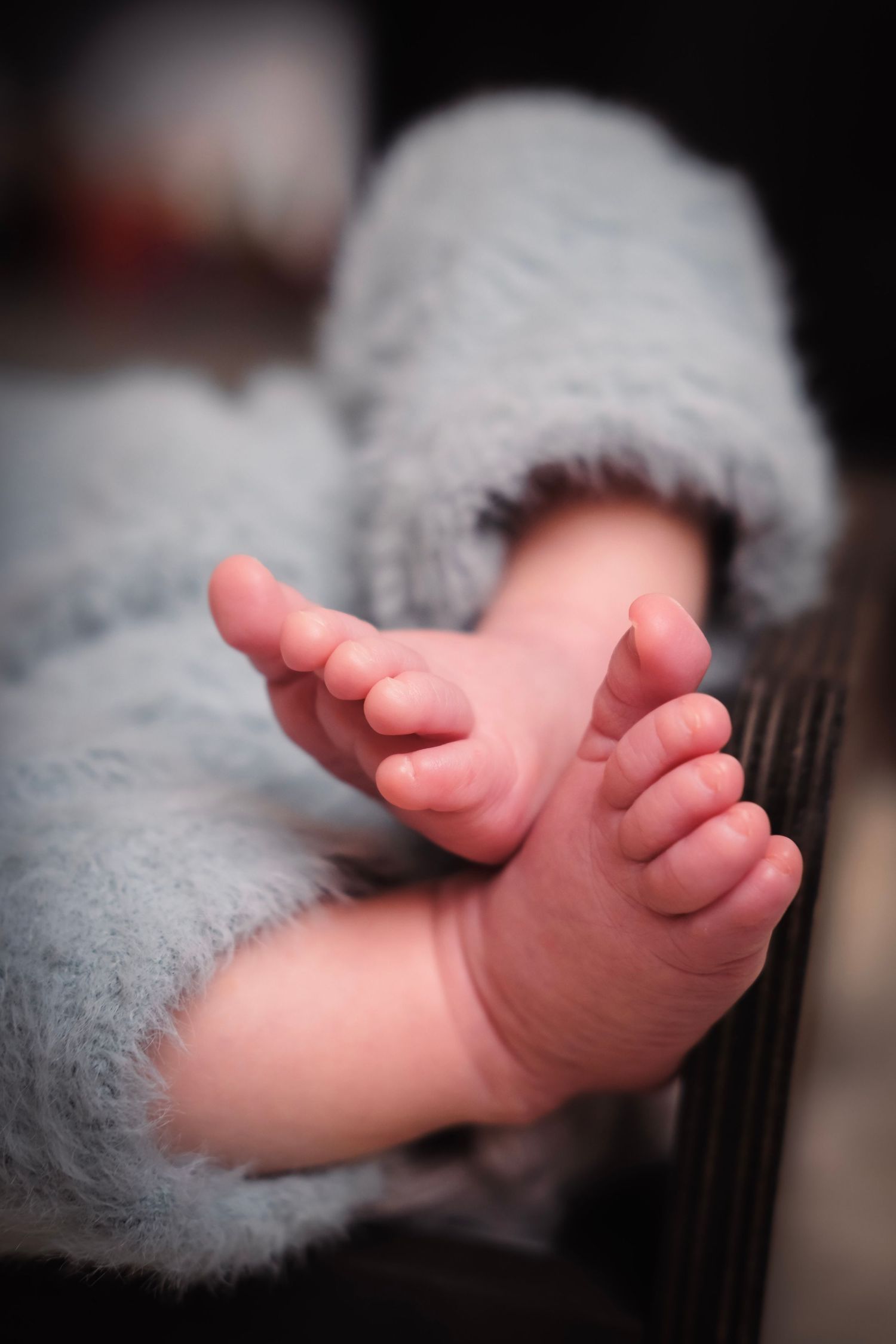 Close-up photography of tiny newborn feet against soft gray textile.