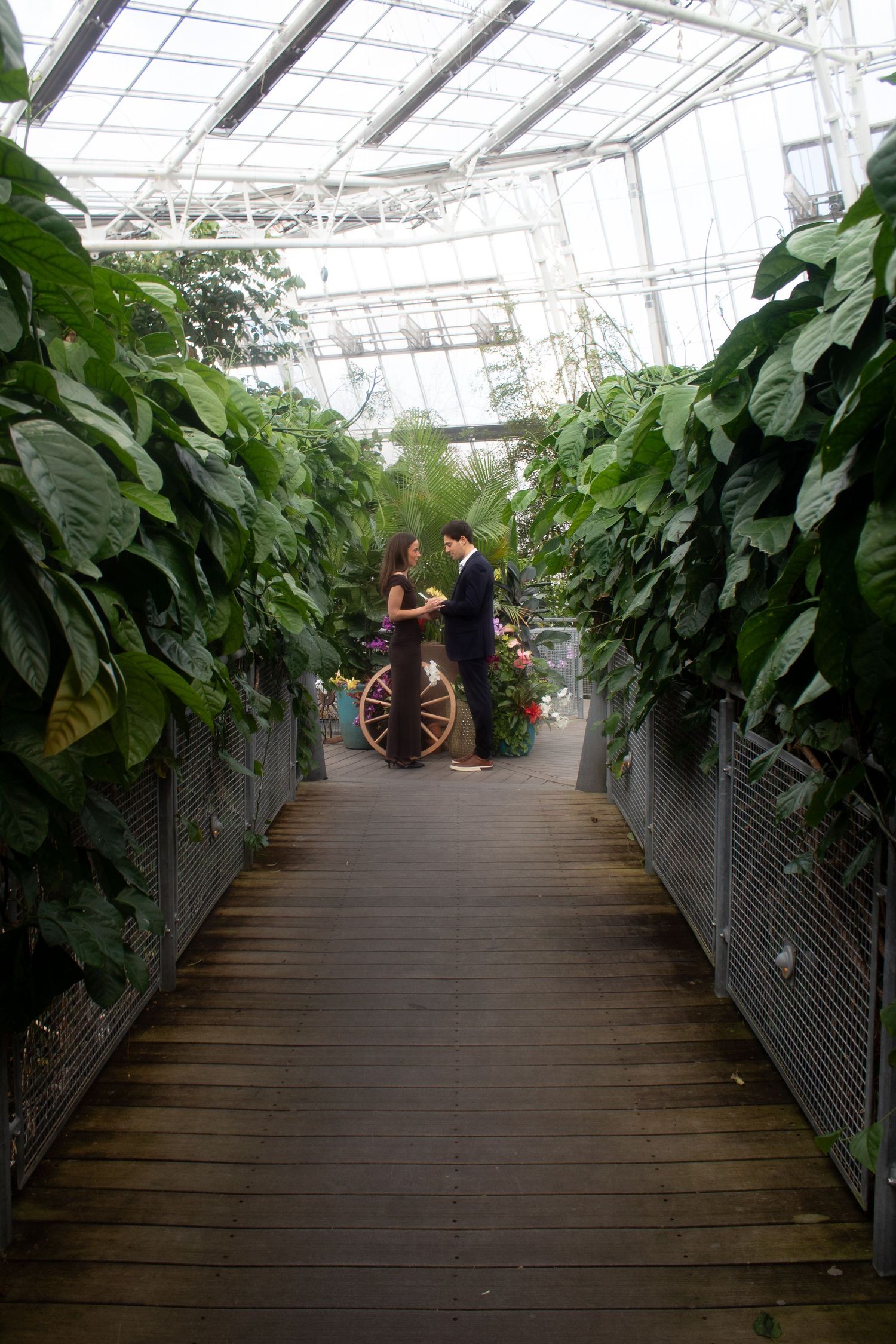 Couple getting engaged during an engagement photography session at Cleveland Botanical Garden in Ohio.