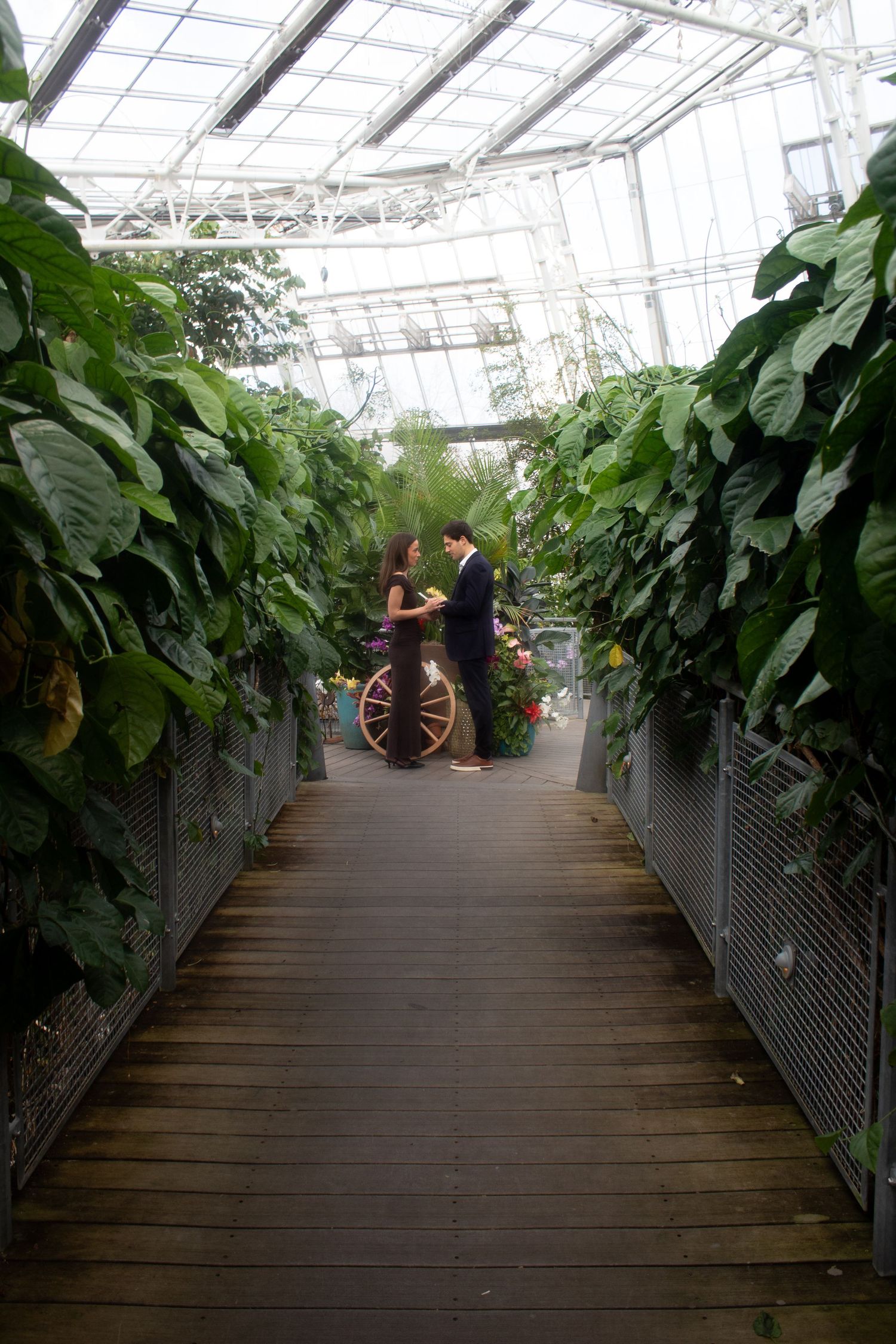 Couple getting engaged during an engagement photography session at Cleveland Botanical Garden in Ohio.