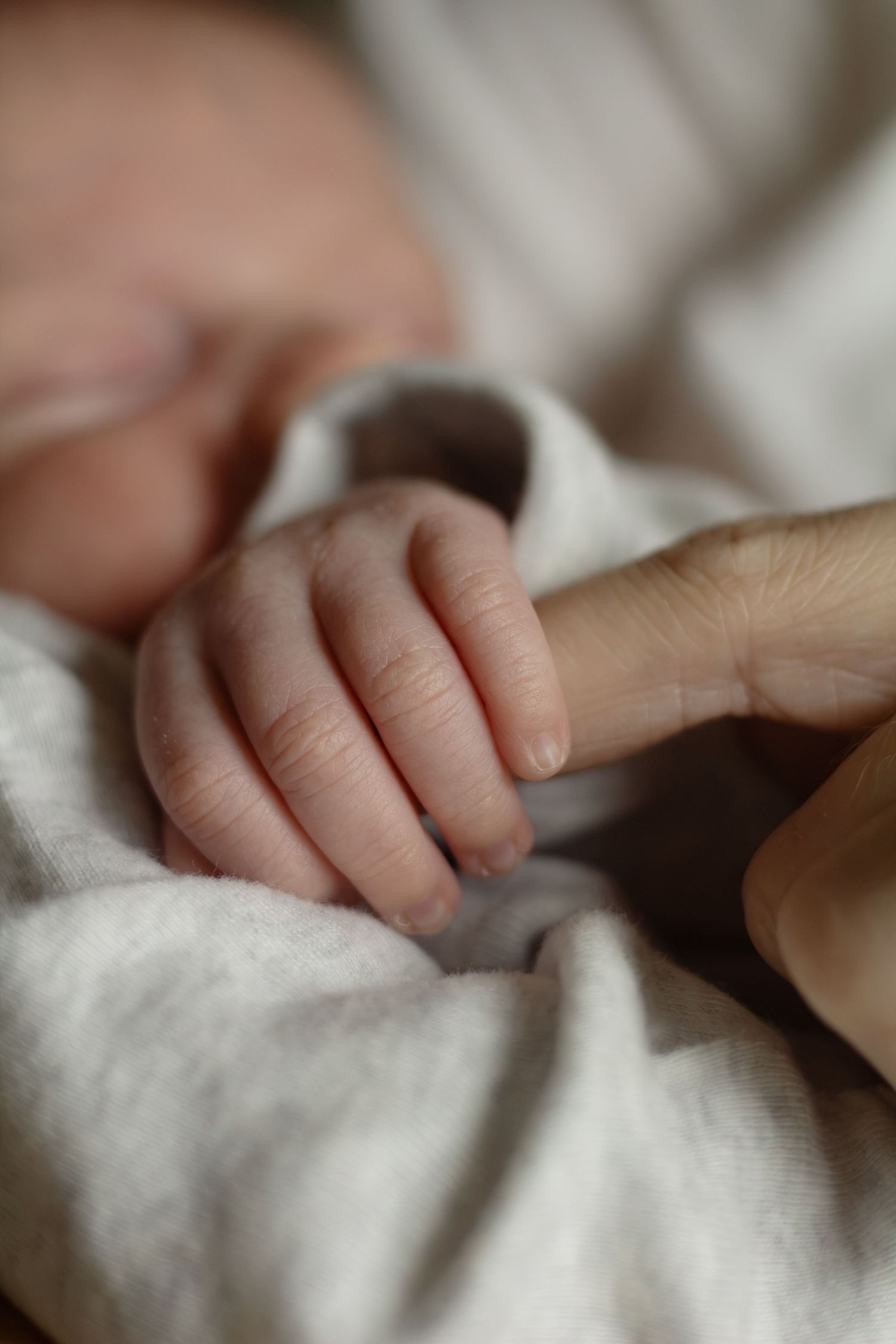Close-up of a newborn baby's tiny hands holding mothers finger during a newborn photography session in Fayetteville, NC.