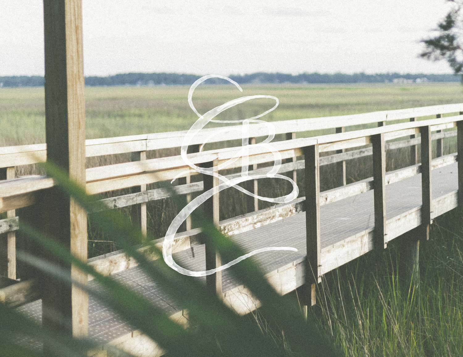 Captured by Camdyn - Created by Camdyn - Southeast Georgia Lifestyle & Portrait Photography