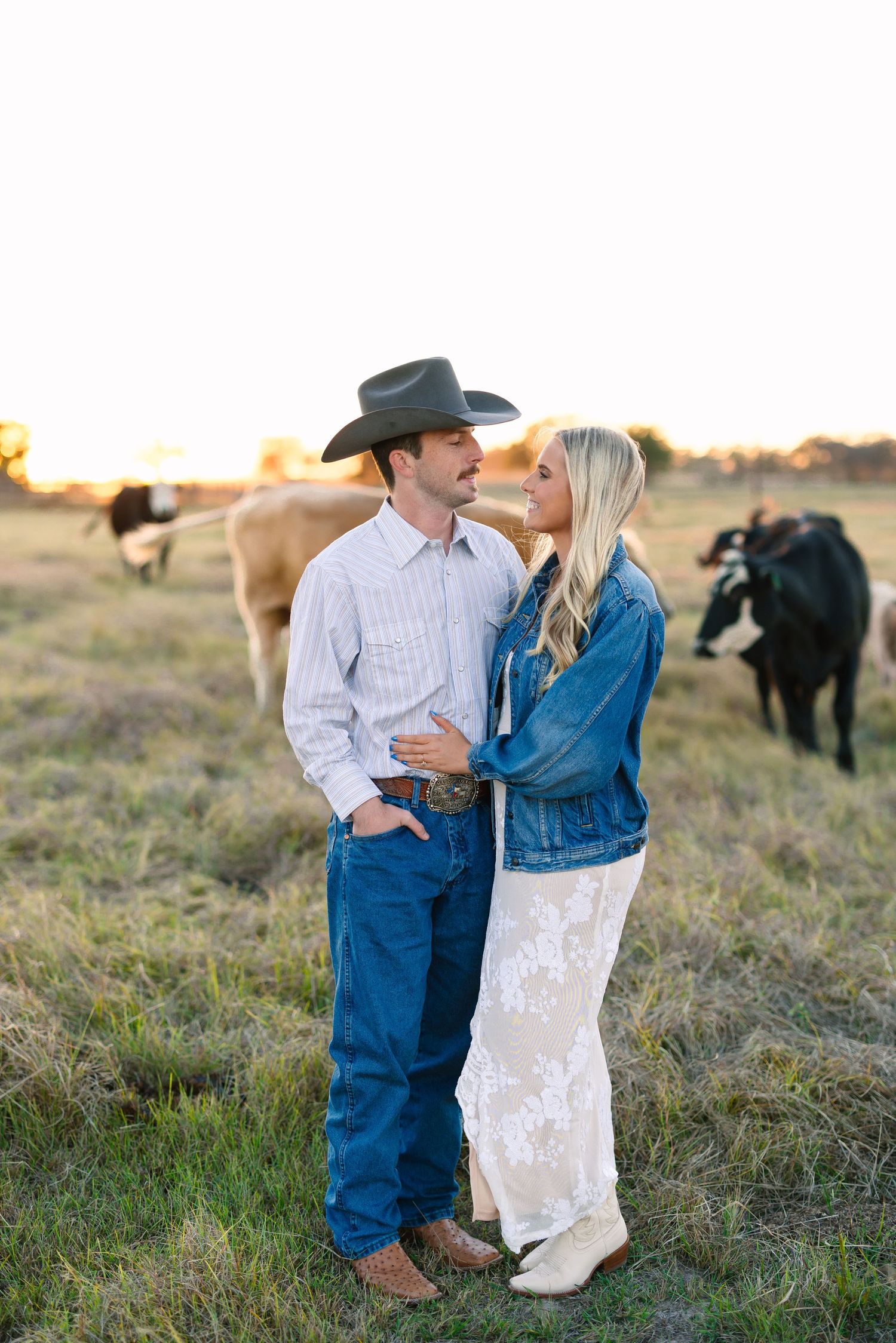 Couple embracing in a field at golden hour with cattle grazing behind them, man in cowboy hat and woman in lace dress.