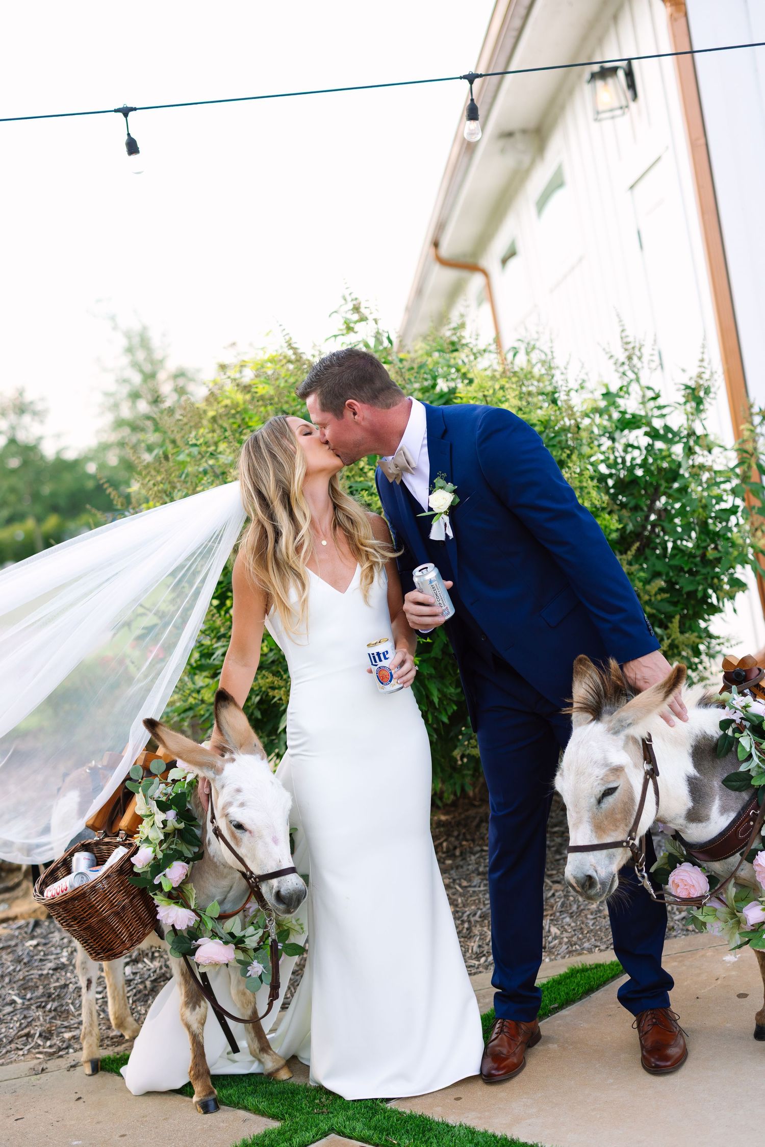 Wedding couple shares sweet moments with white horse under outdoor tent.