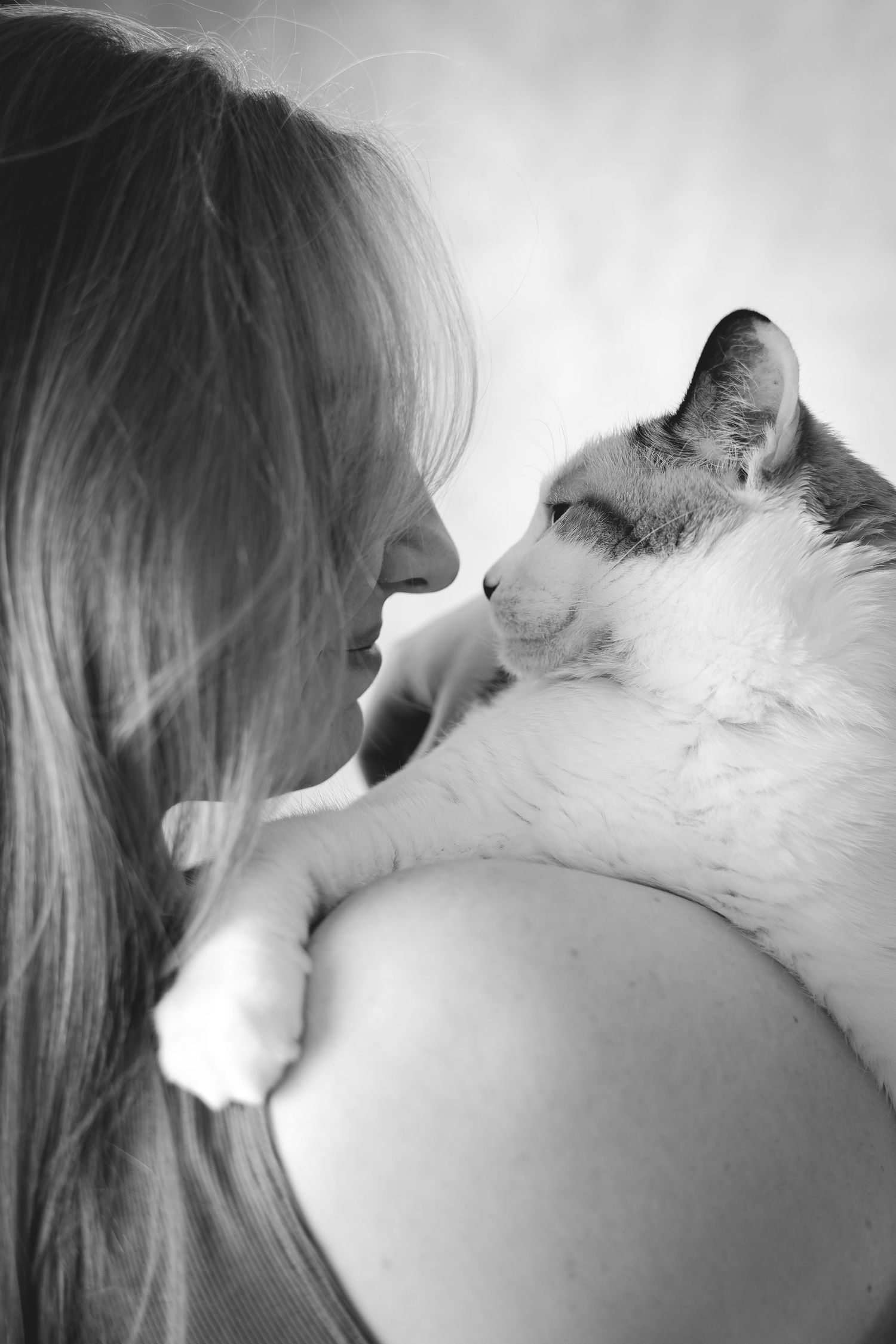 Black and white photo series showing tender moments between a person and a white cat in close-up shots.
