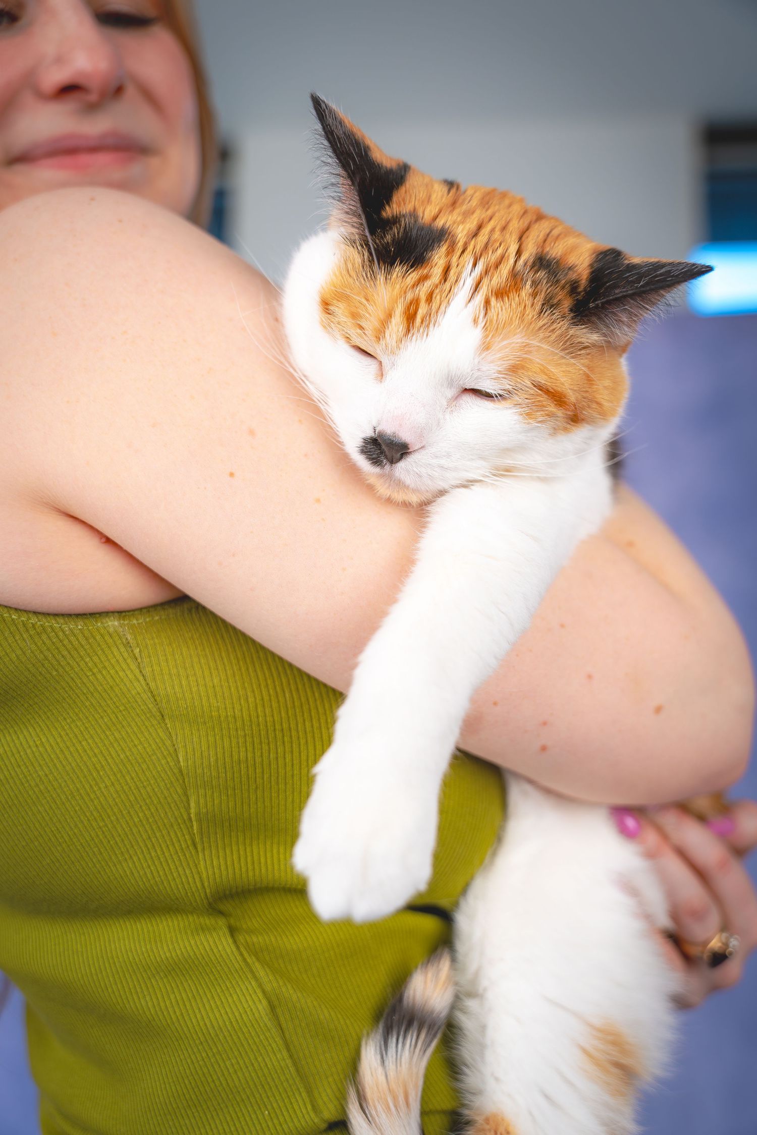 A calico cat stretches out comfortably while being held against a person wearing a green sweater.