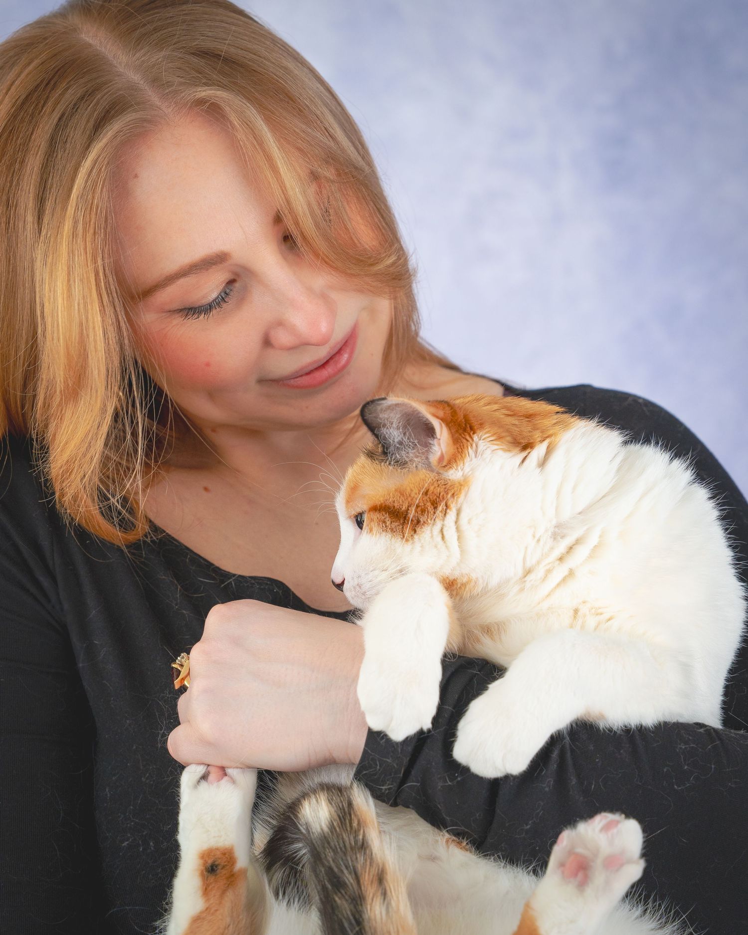 A series of affectionate moments between a calico cat and someone wearing black against a blue backdrop.
