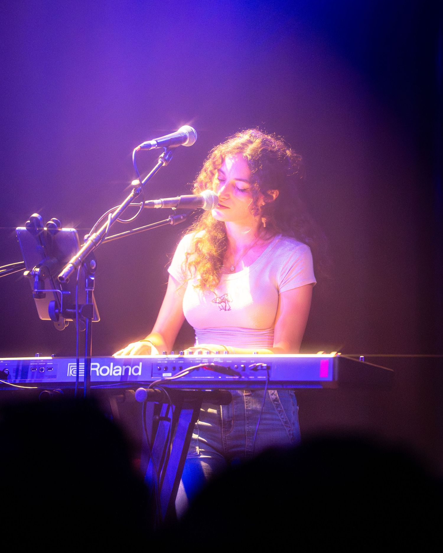 Musician performs on keyboard under dramatic purple stage lighting during live concert performance.