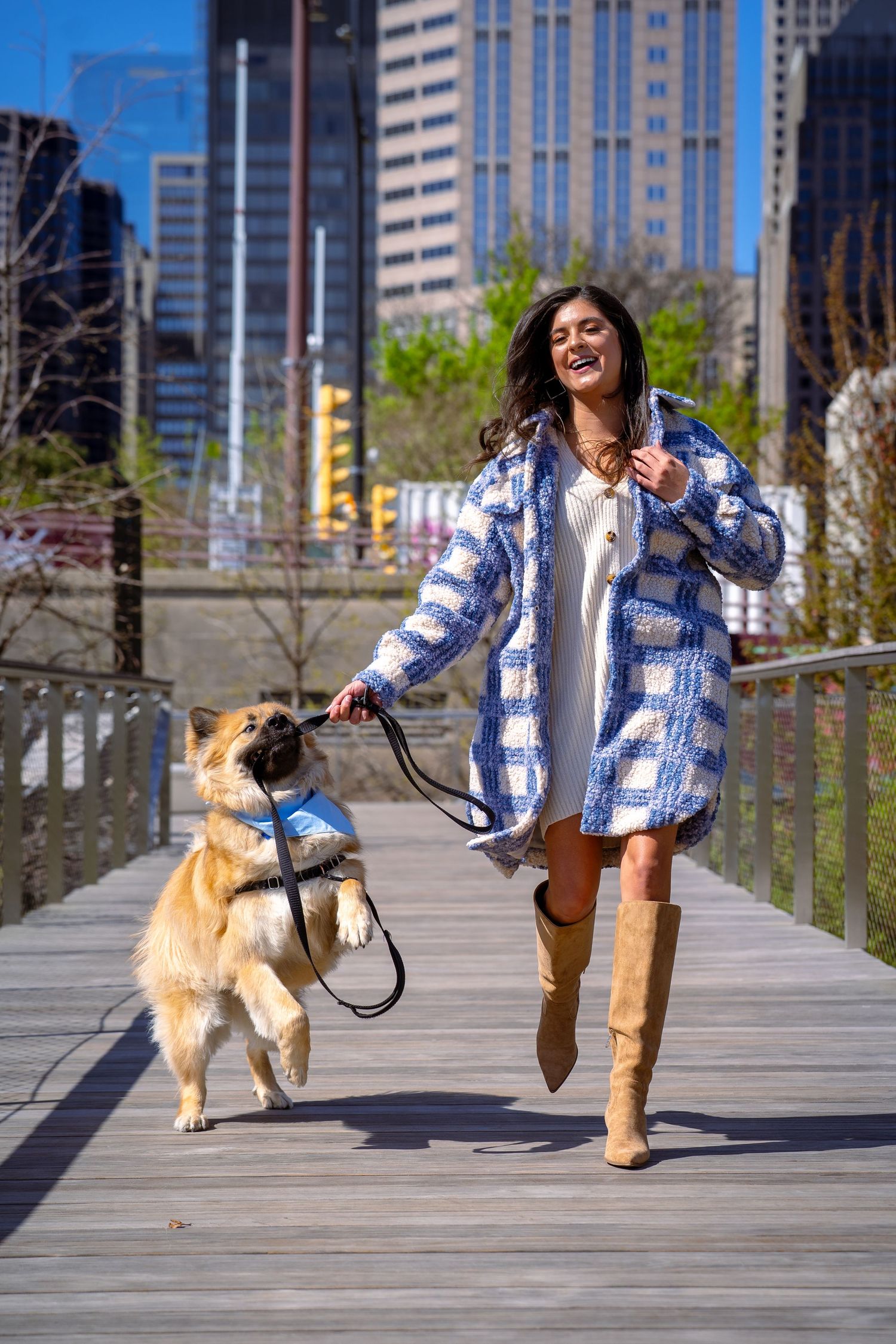 Dog and companion enjoying playful moment on wooden walkway with skyscrapers behind.