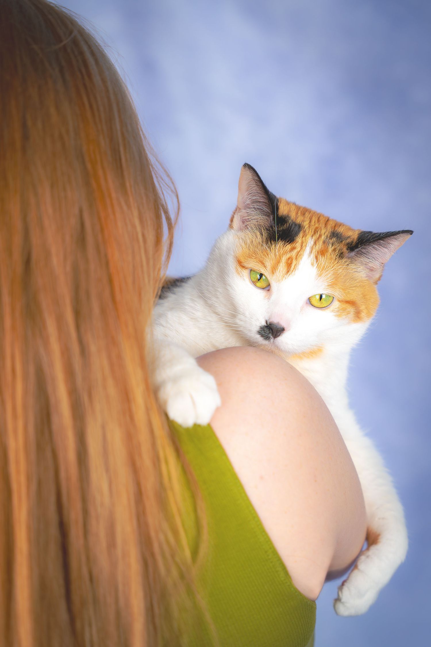 Calico cat peering over someone's shoulder against a blue sky background.
