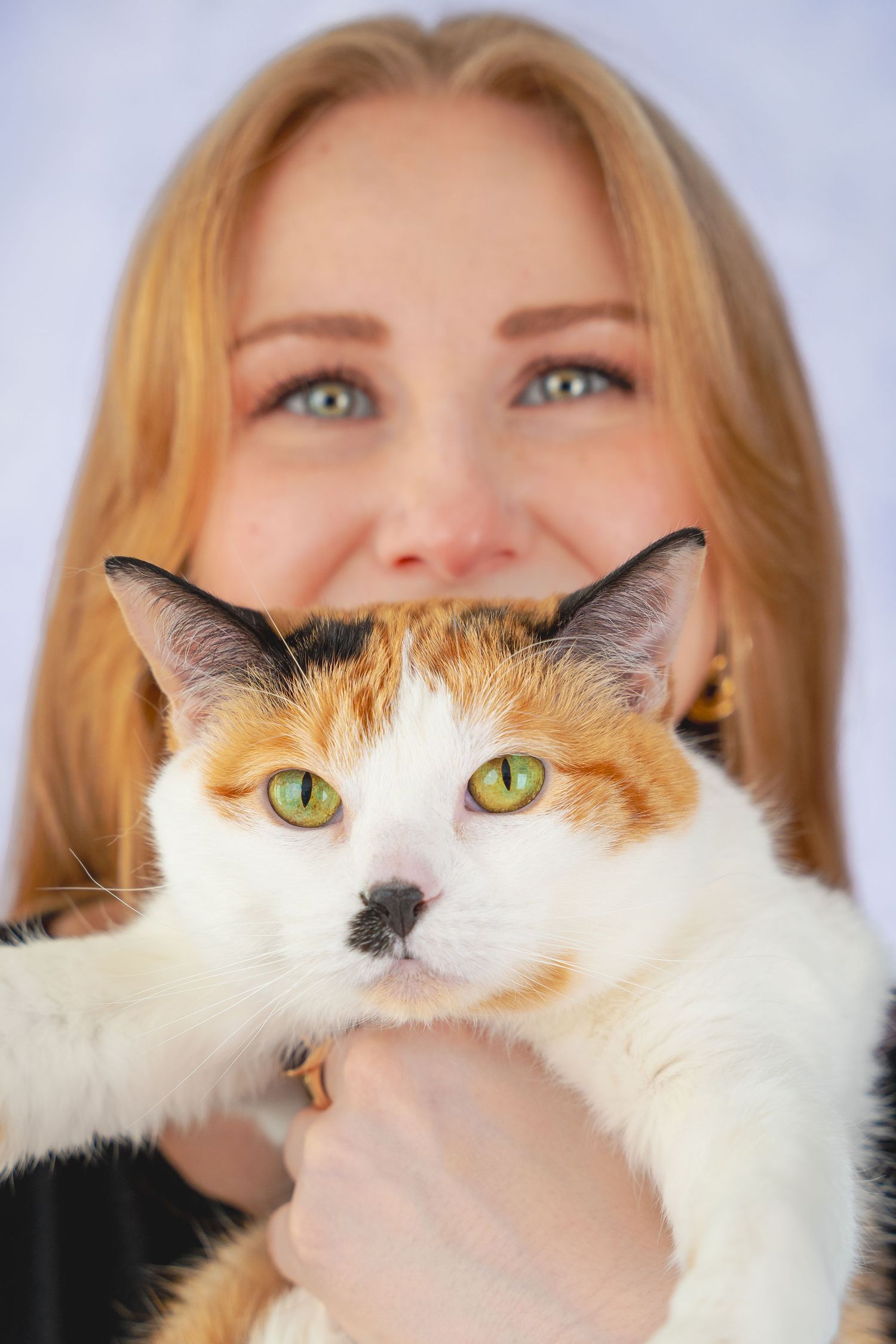 A calico cat with bright green eyes poses in a series of close-up photos with its owner.