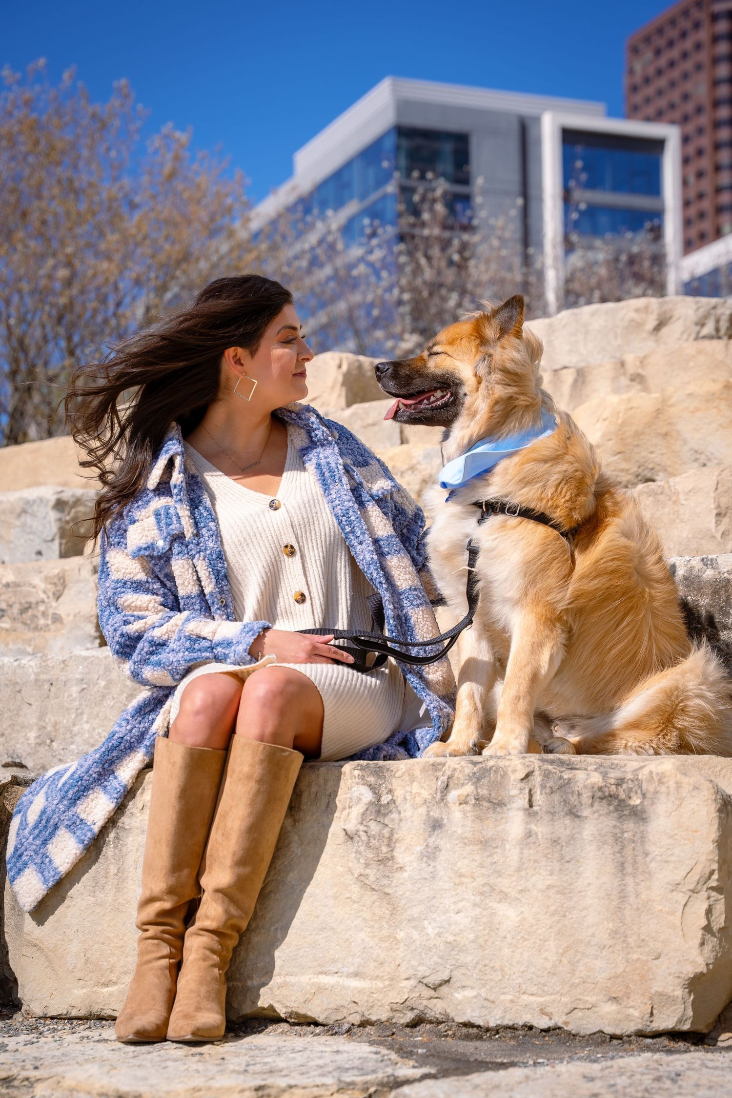 Dog and companion sharing tender moment on stone wall with urban backdrop.