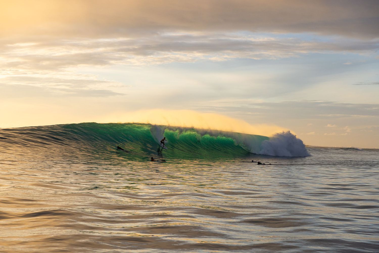 A surfer rides a glowing green wave during golden sunset with coastal cliffs in the background.