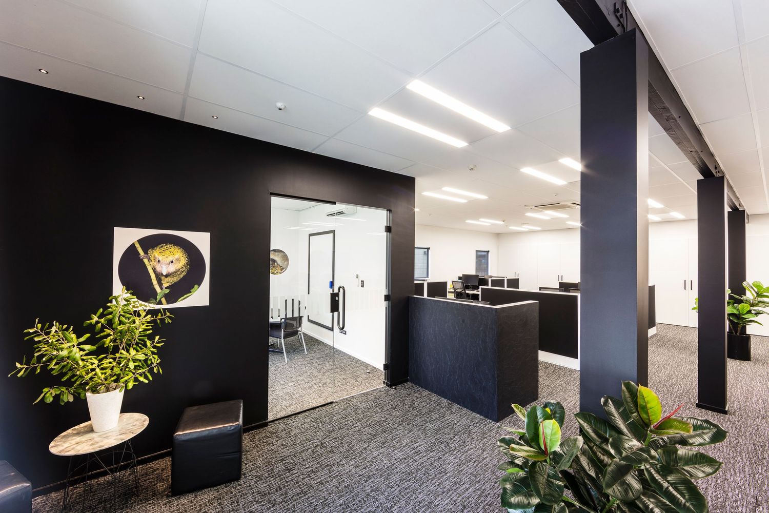 Modern office space with black accent walls and natural lighting from large windows.
