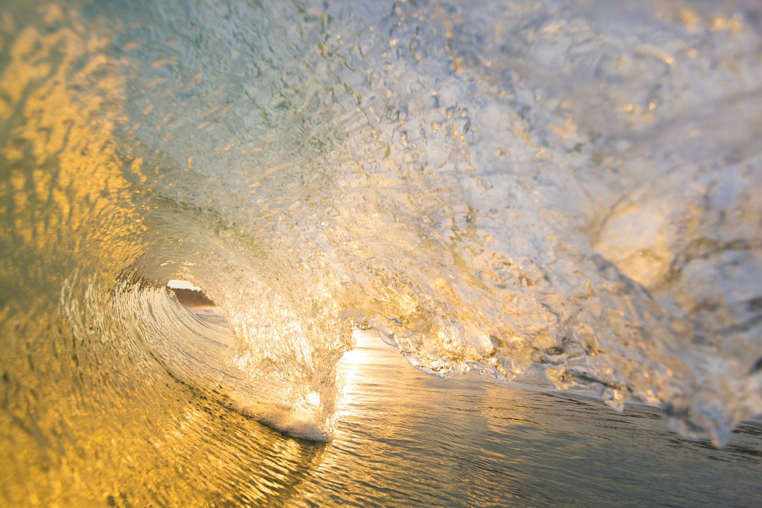 Golden sunlight illuminates the curl of a breaking ocean wave from inside the barrel.