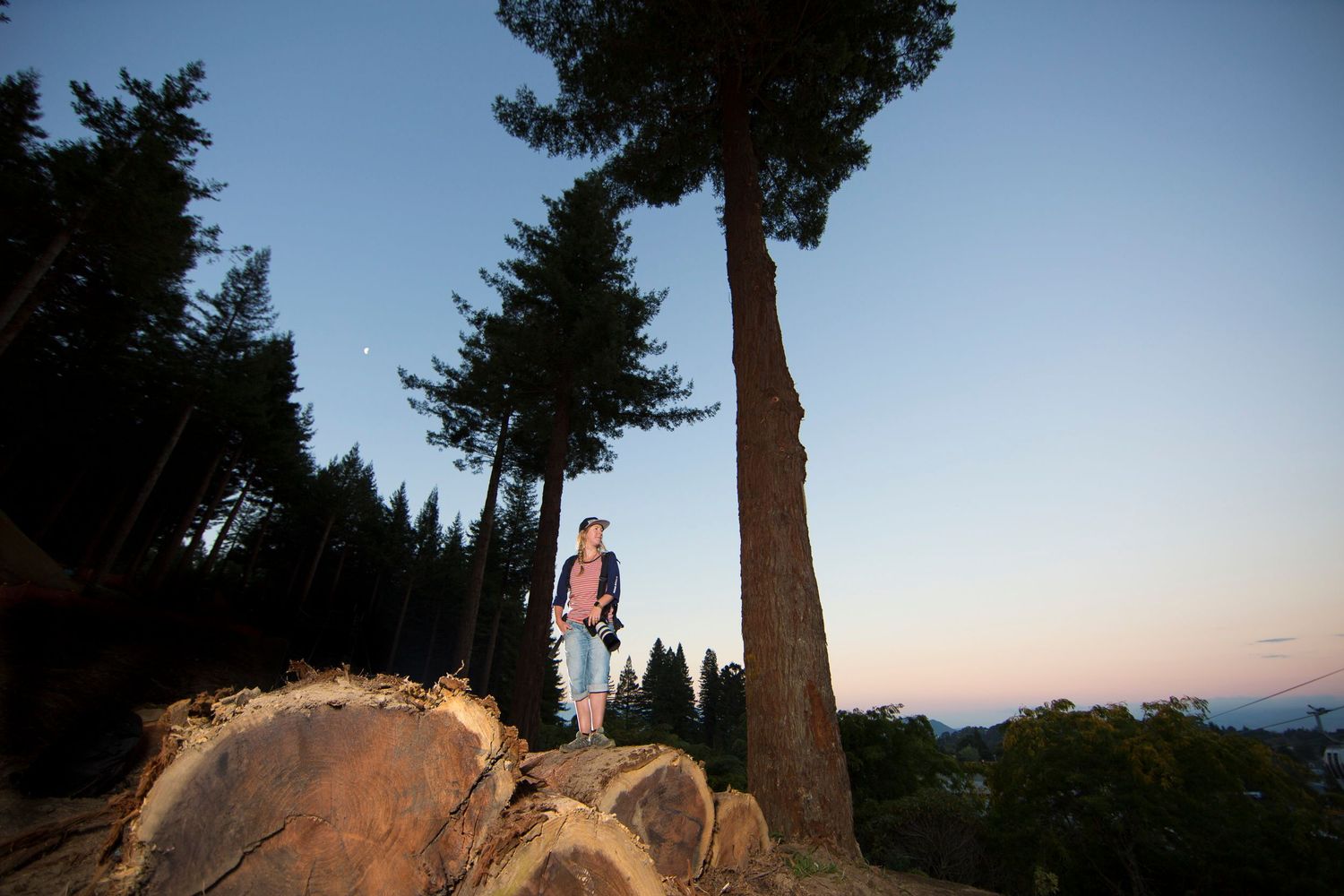 Adventurer standing on large log at sunset with tall pine trees in background.