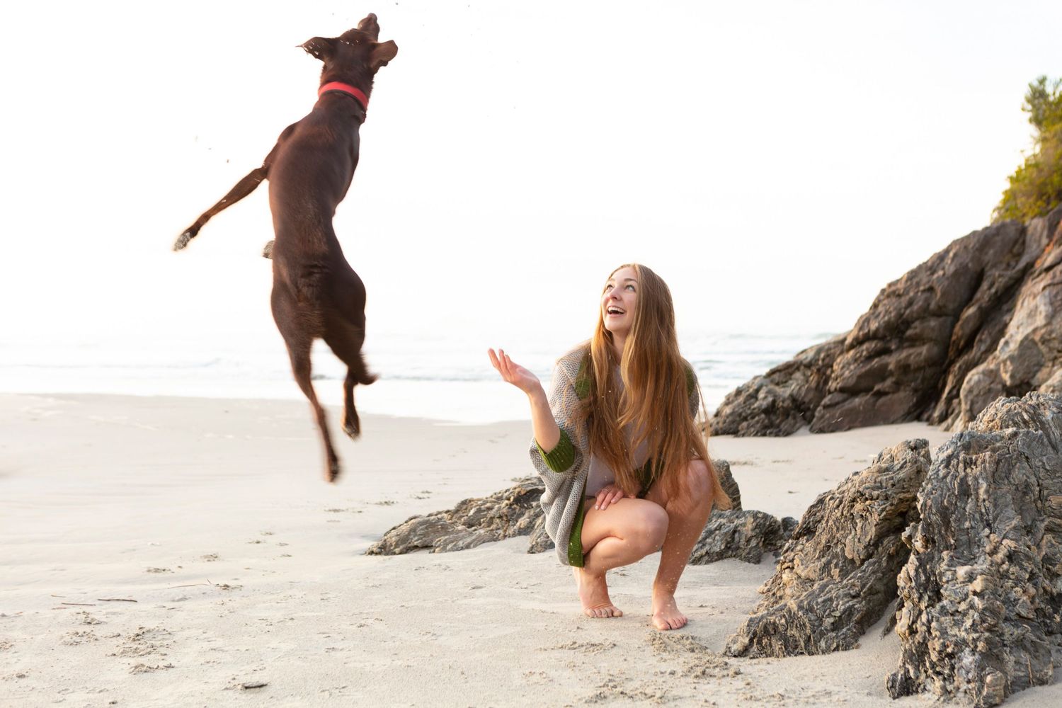 Dog jumps high in the air while playing with person on beach near rocky cliffs.