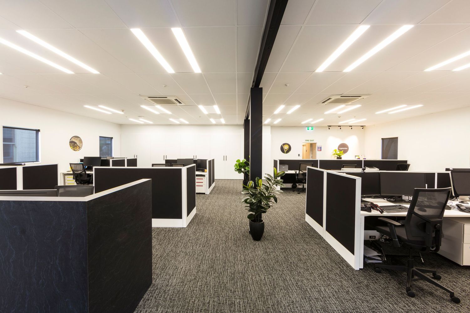 Modern open plan office space with gray cubicles, bright lighting, and carpeted flooring.