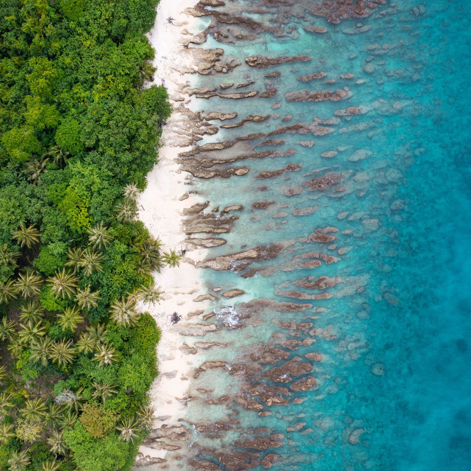 Aerial view of tropical coastline with coral reefs visible through turquoise waters.
