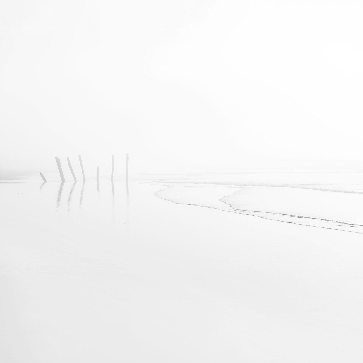 Minimalist winter landscape with fence posts creating leading lines through pure white snow.