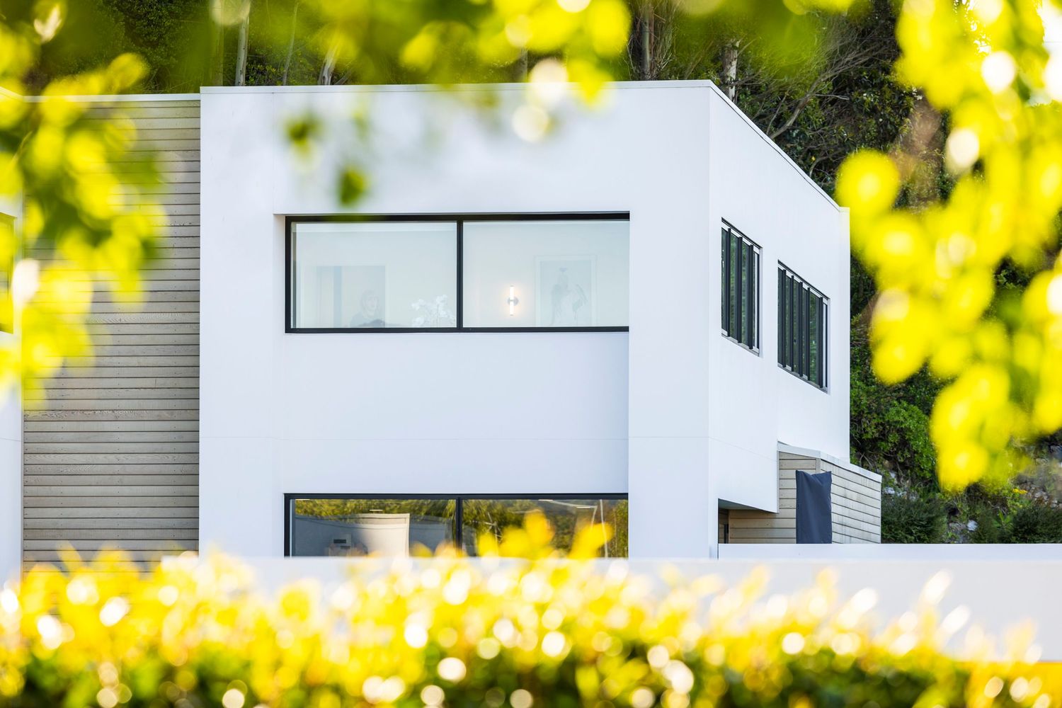Minimalist white building with black-framed windows framed by yellow bokeh foliage.
