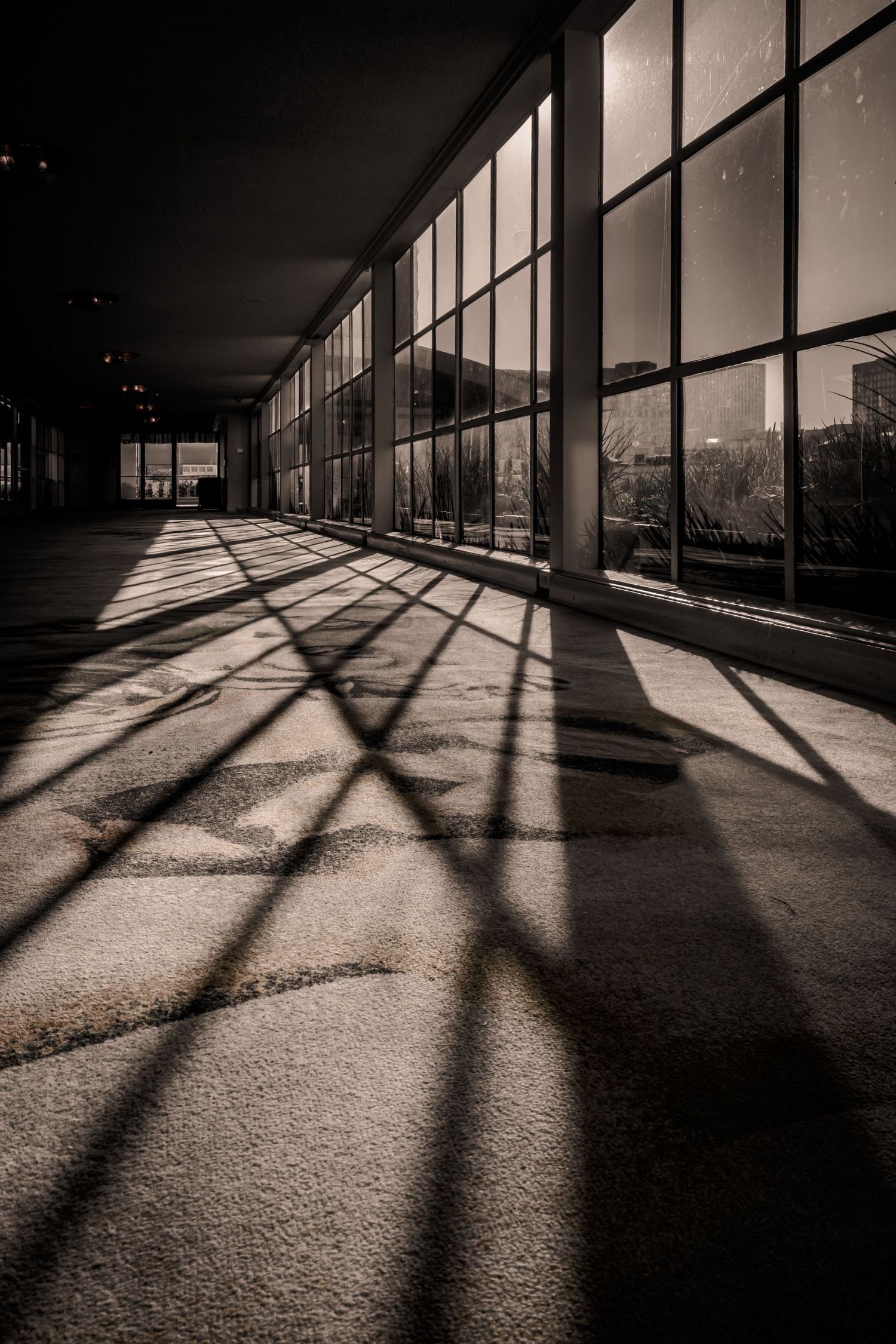 Modern hallway with dramatic shadows cast through large windows onto floor.