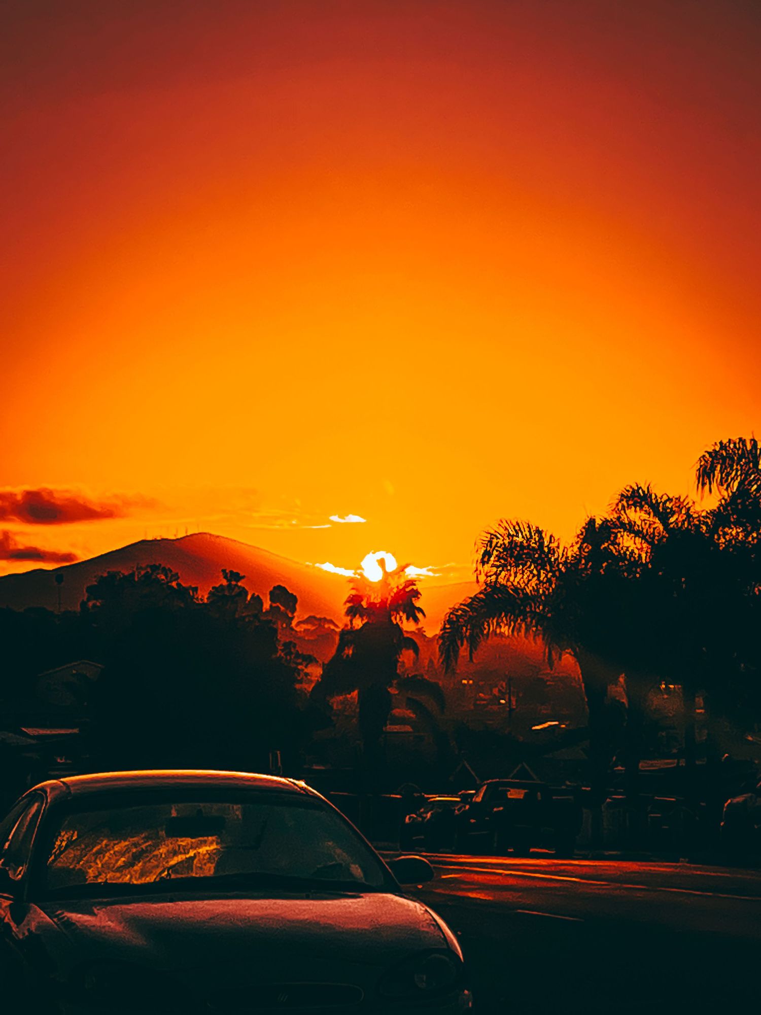 Orange sunset casts dramatic shadows over parked cars and palm trees in a tropical setting.