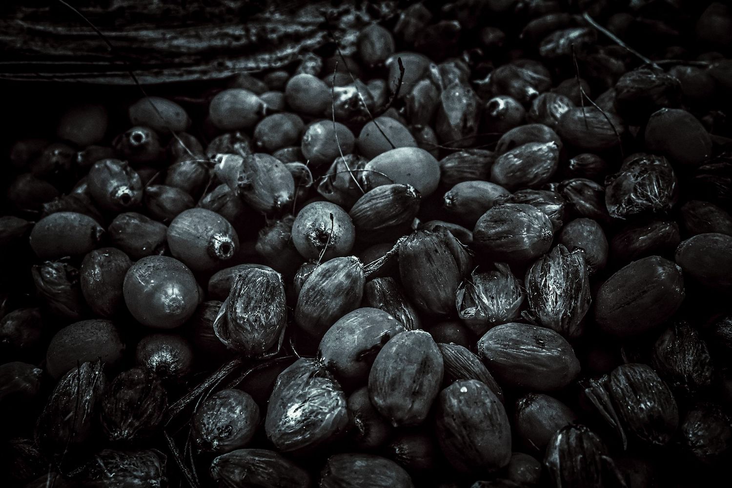 Dark and moody close-up of fresh coffee beans creating a textured background pattern.