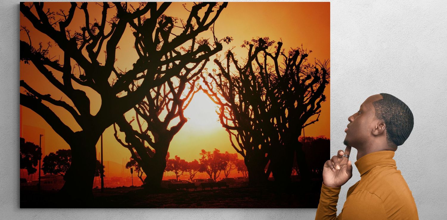 Panoramic wall art collection featuring silhouetted trees against an orange sunset sky.