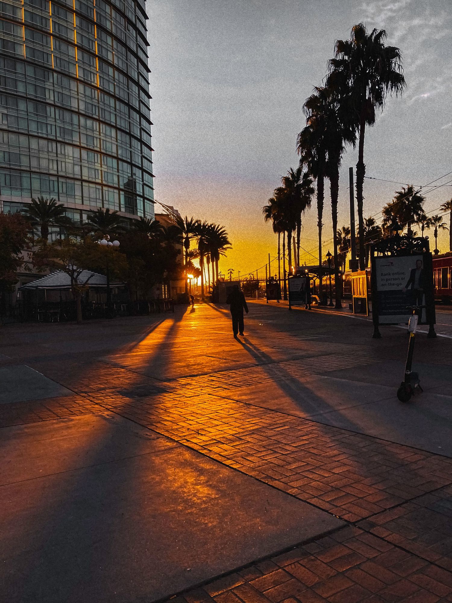 Modern glass building and palm trees silhouetted against a vibrant orange sunset on brick paved street.