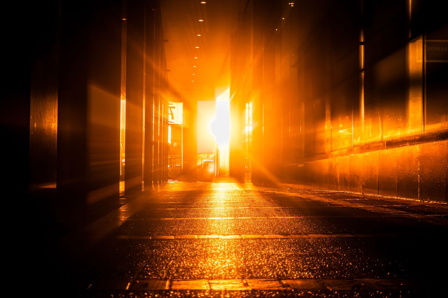 Golden sunlight streams down an empty street creating dramatic lighting and long shadows.