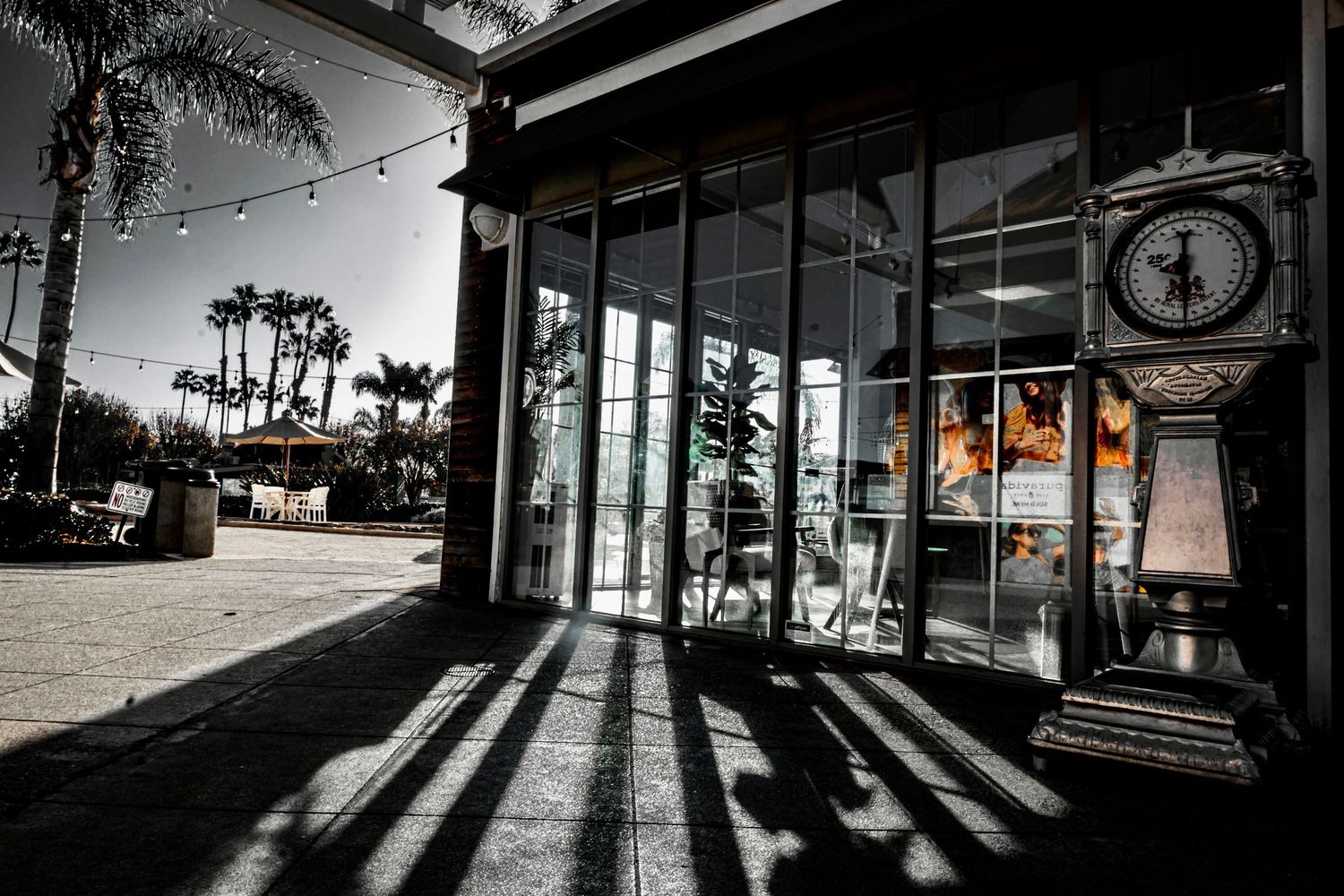 Storefront window casting long shadows across sidewalk with palm trees silhouetted against dramatic black and white sky.