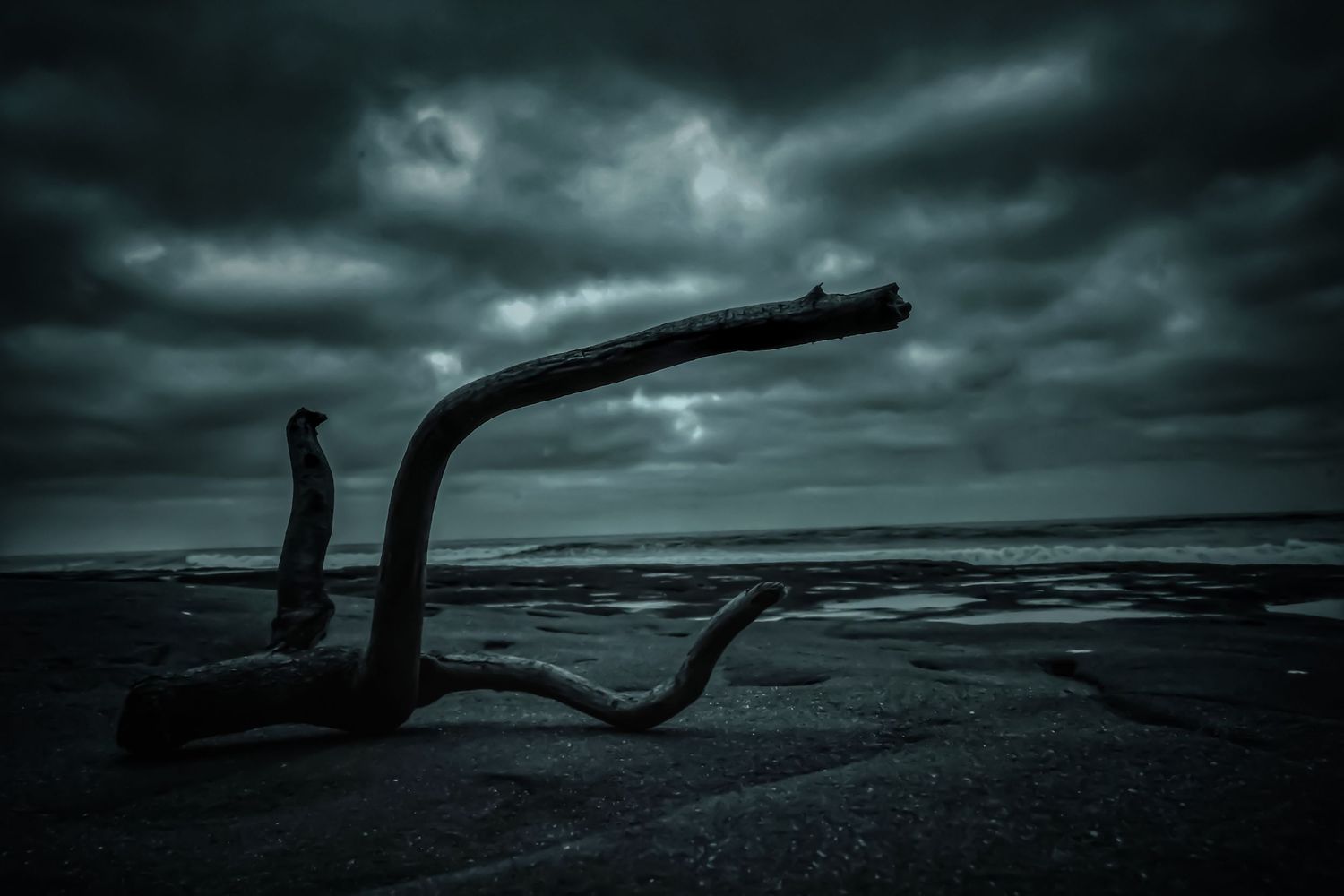 Driftwood silhouettes against a moody seascape with threatening storm clouds overhead.