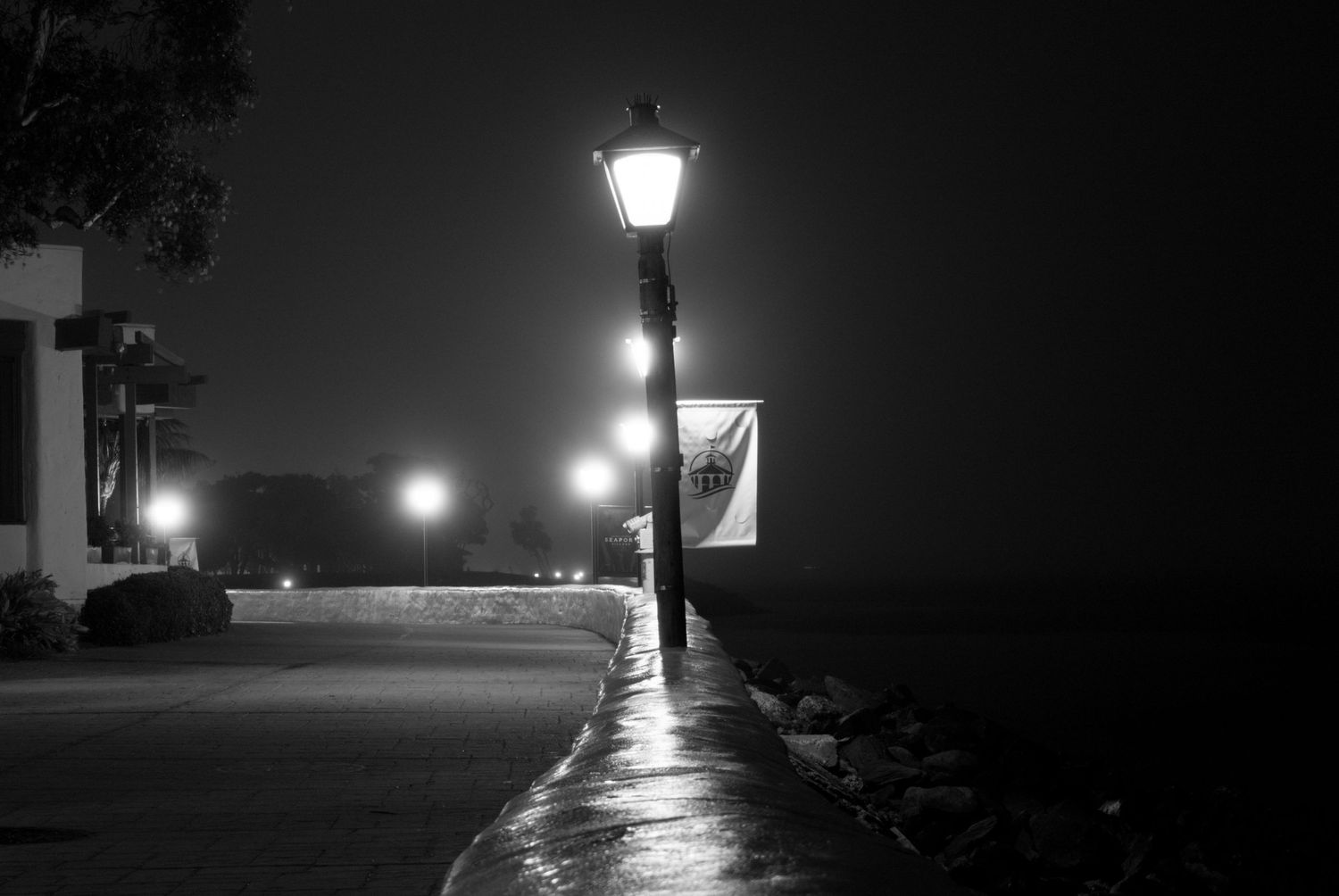 Street lamp illuminates a fog-covered path at night creating an eerie atmosphere.