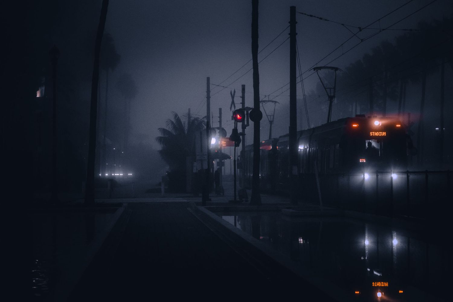 Dark silhouettes against a moody night sky with scattered streetlights illuminate the urban landscape.