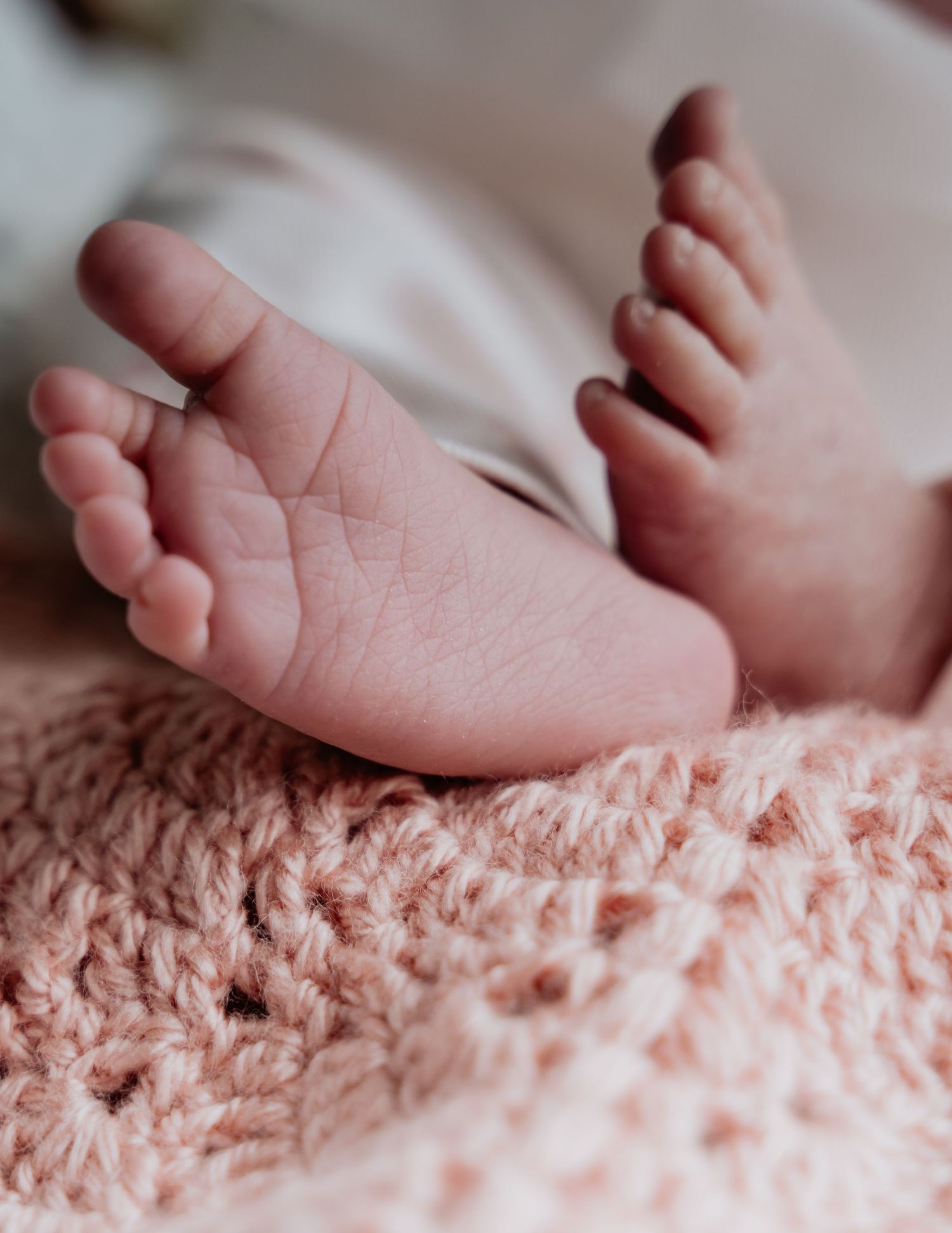 Close-up of tiny newborn baby feet resting on a soft pink crocheted blanket. Newborn portraits near Auburn CA