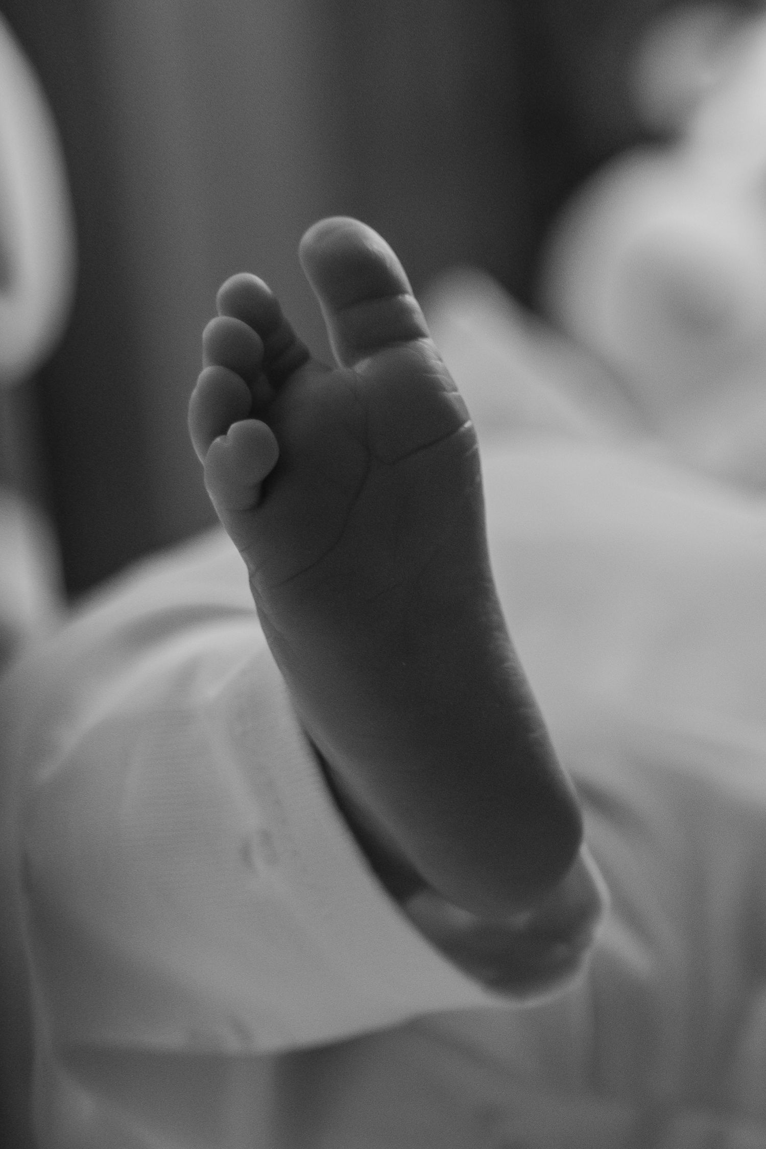 Close-up black and white photo of a tiny newborn baby foot, showcasing delicate toes and soft skin.