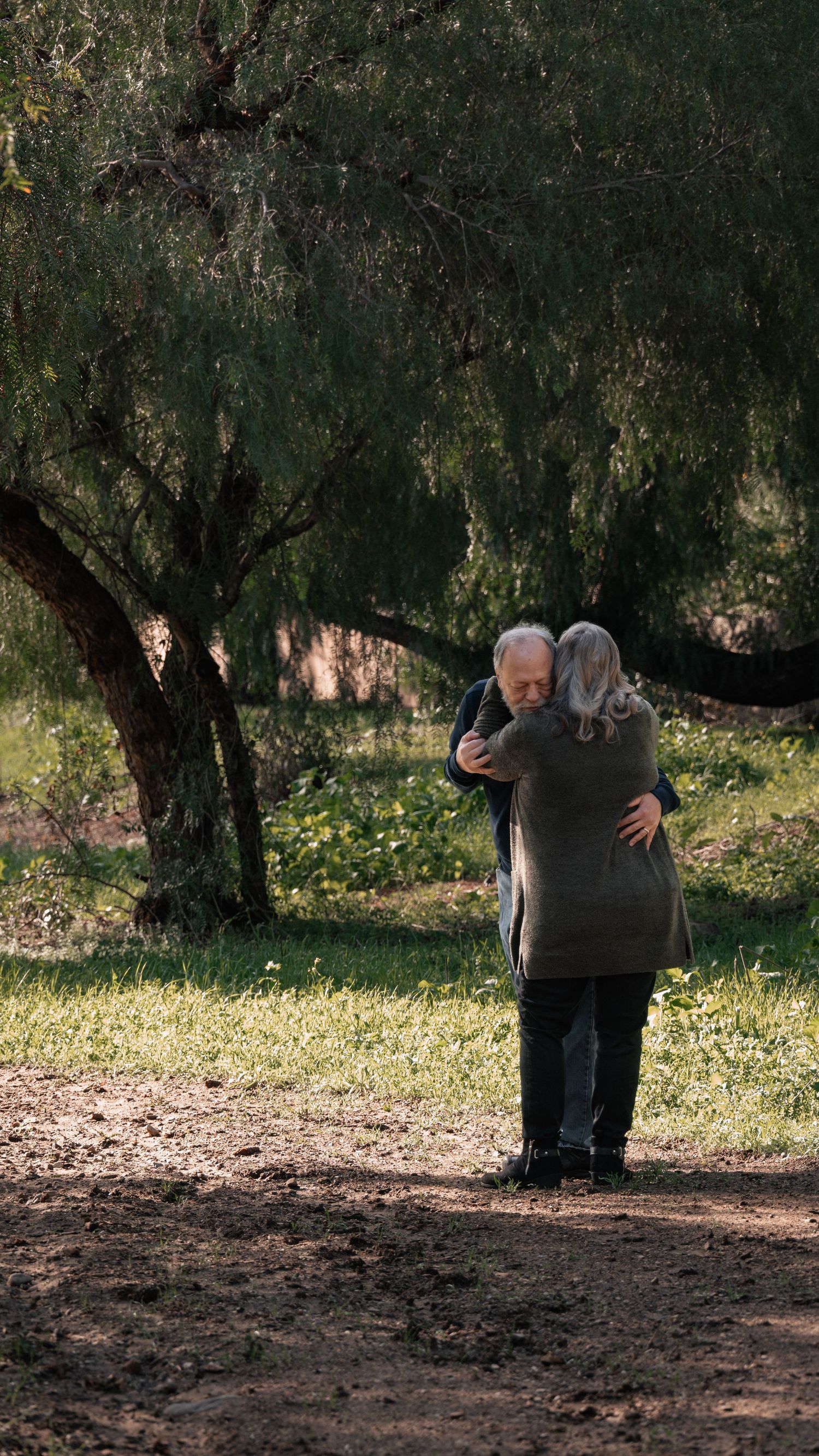 A sequence of photos showing two people walking together under trees in a park.