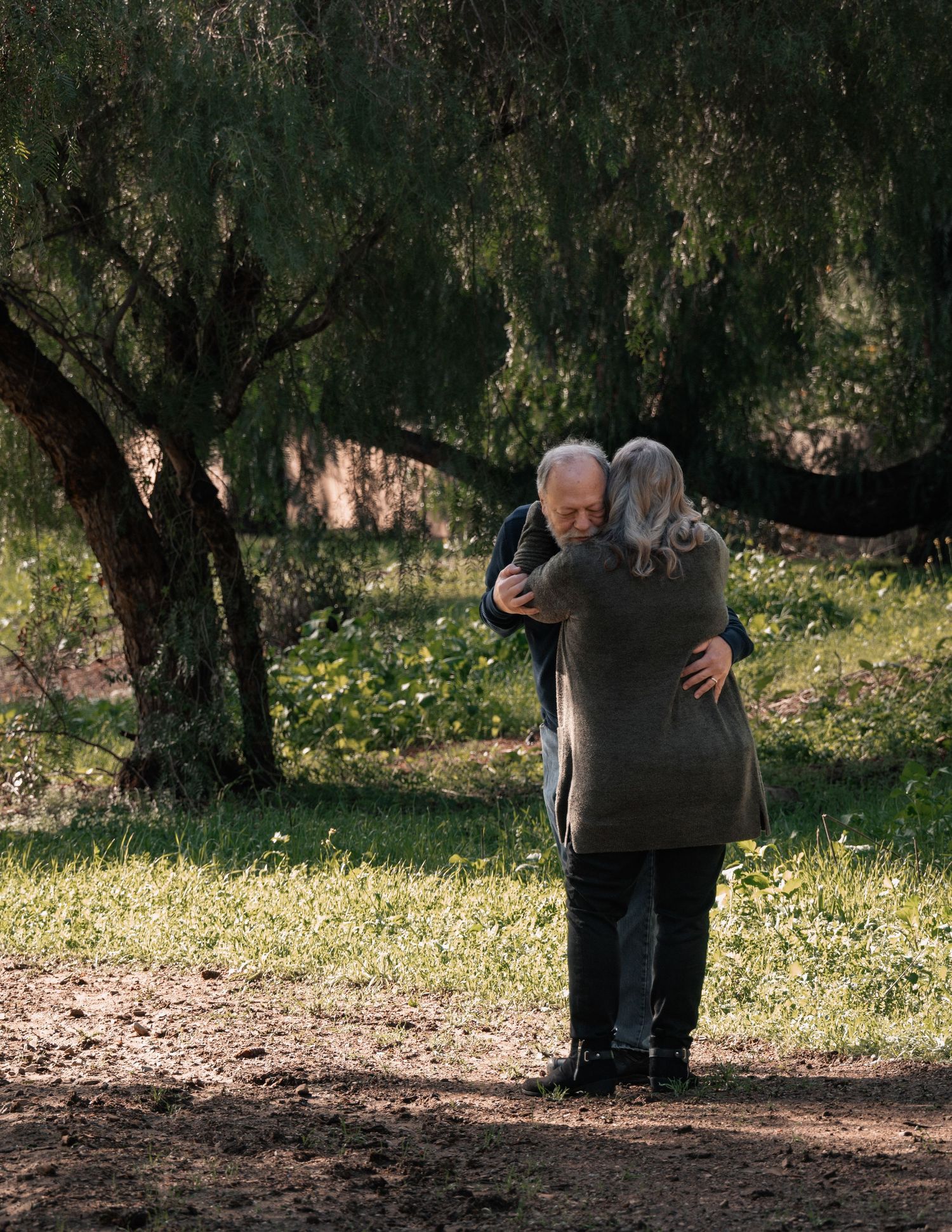 Elderly couple sharing a tender embrace in a sunlit park surrounded by lush green trees.