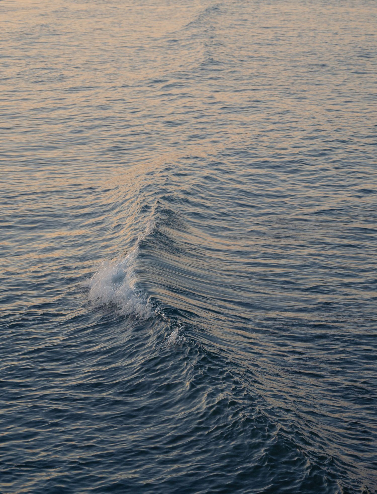 Ocean waves ripple and crest during sunset creating a peaceful seascape pattern.