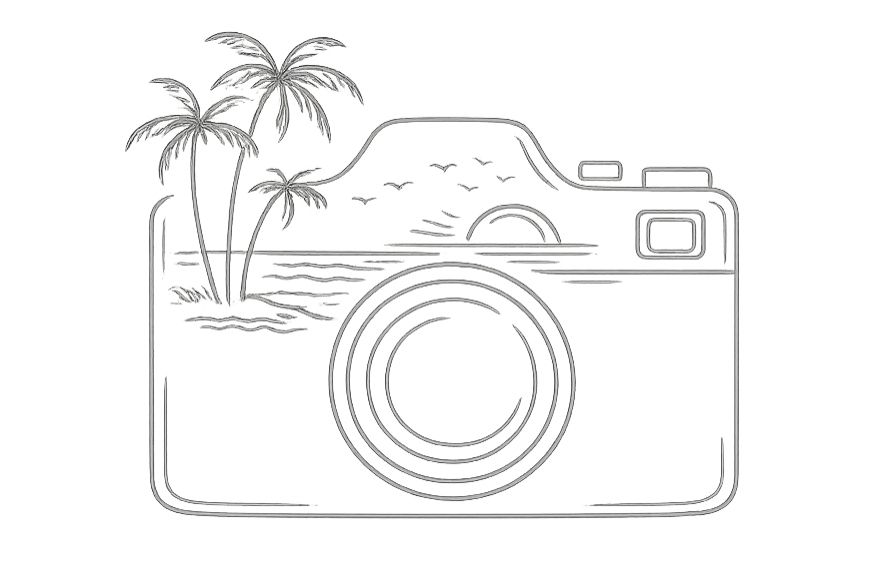 Simple line drawings of palm trees and vintage cameras.