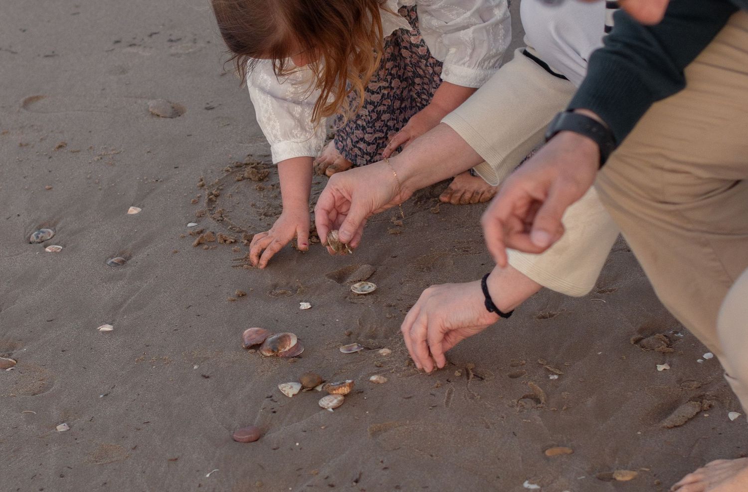 People collecting seashells on sandy beach during golden hour.