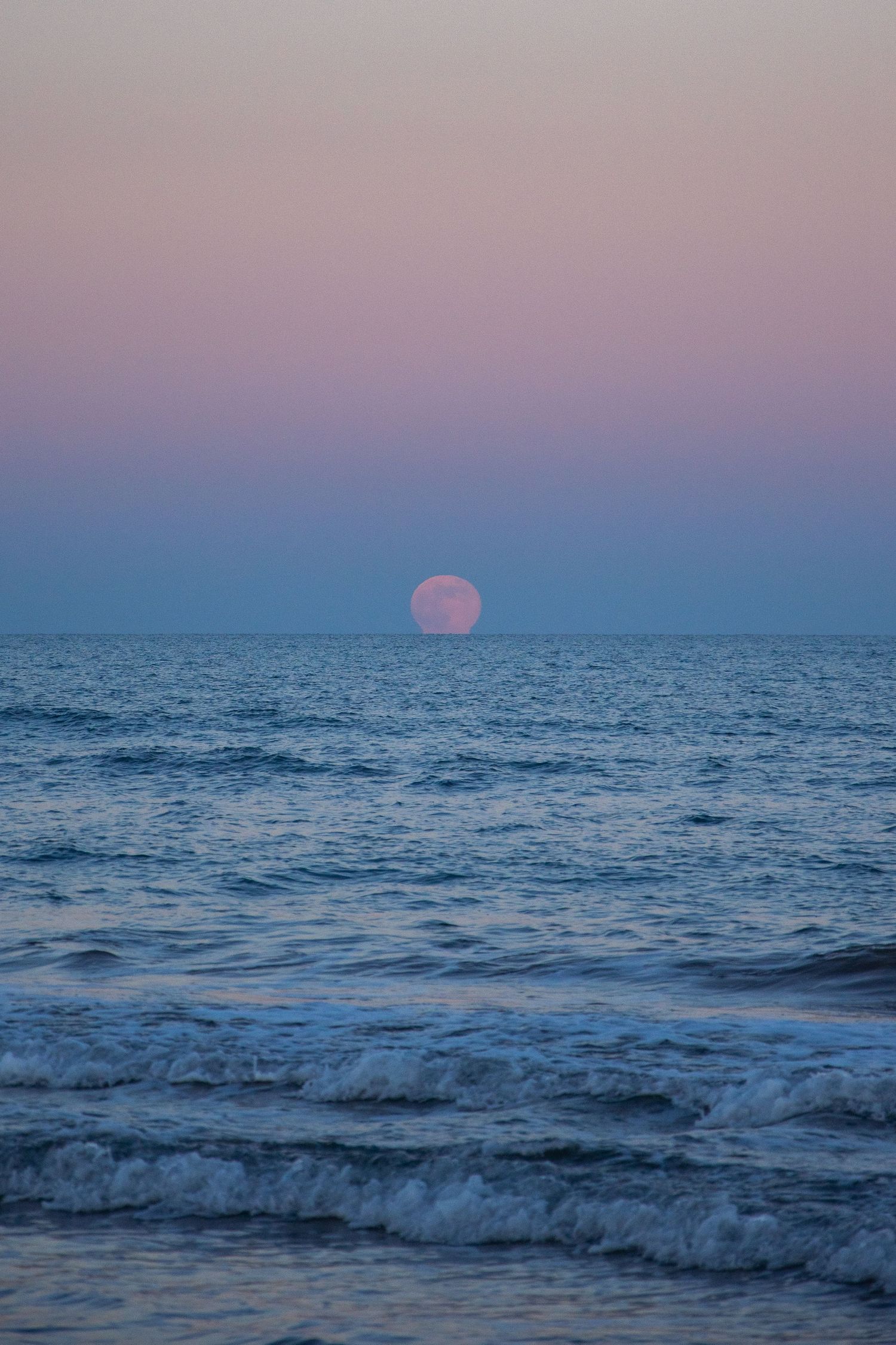 A full pink moon rising over calm ocean waves at dusk with a soft pink and blue gradient sky.