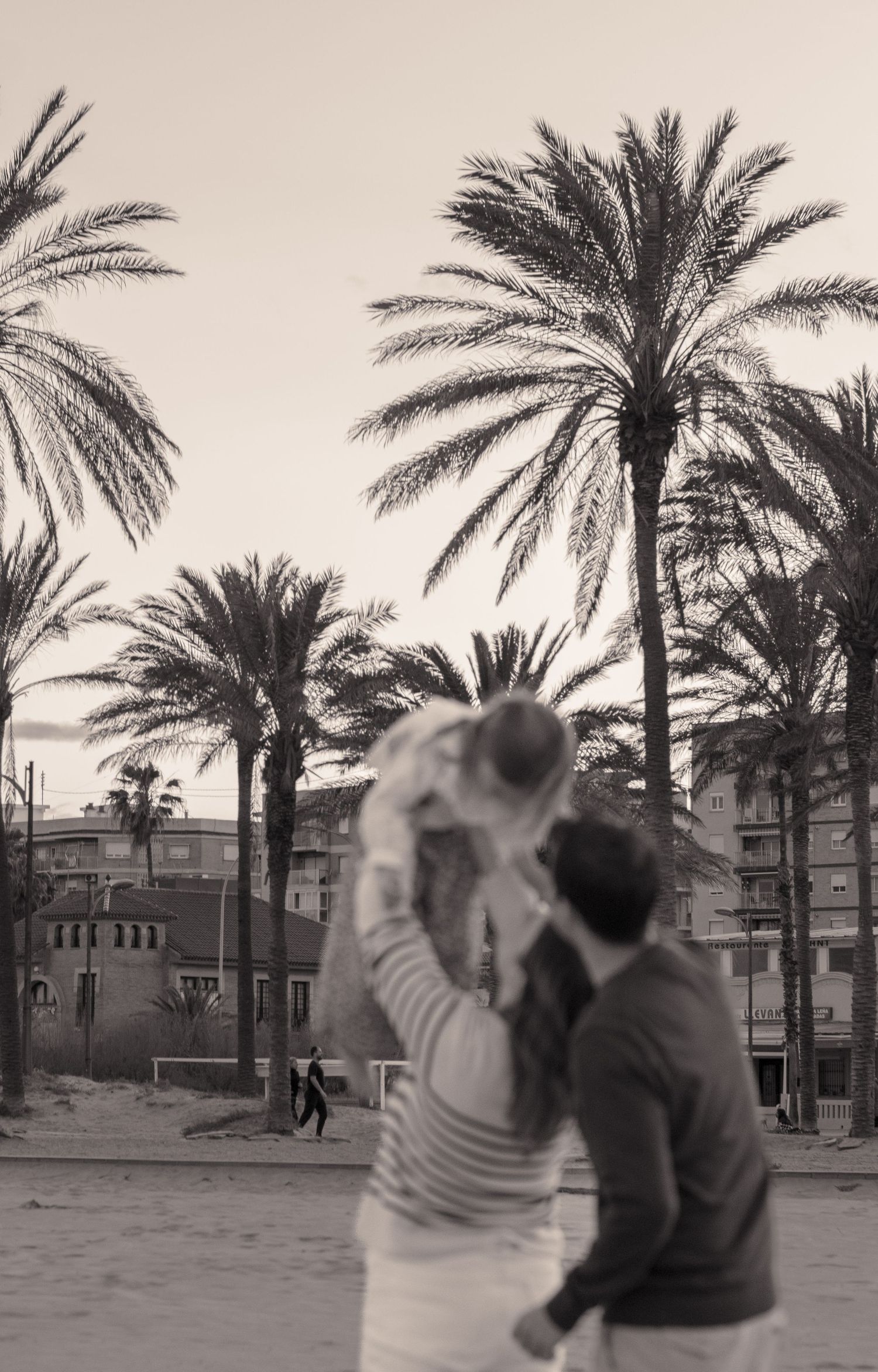 Palm trees line a beachfront promenade as people gather at sunset.