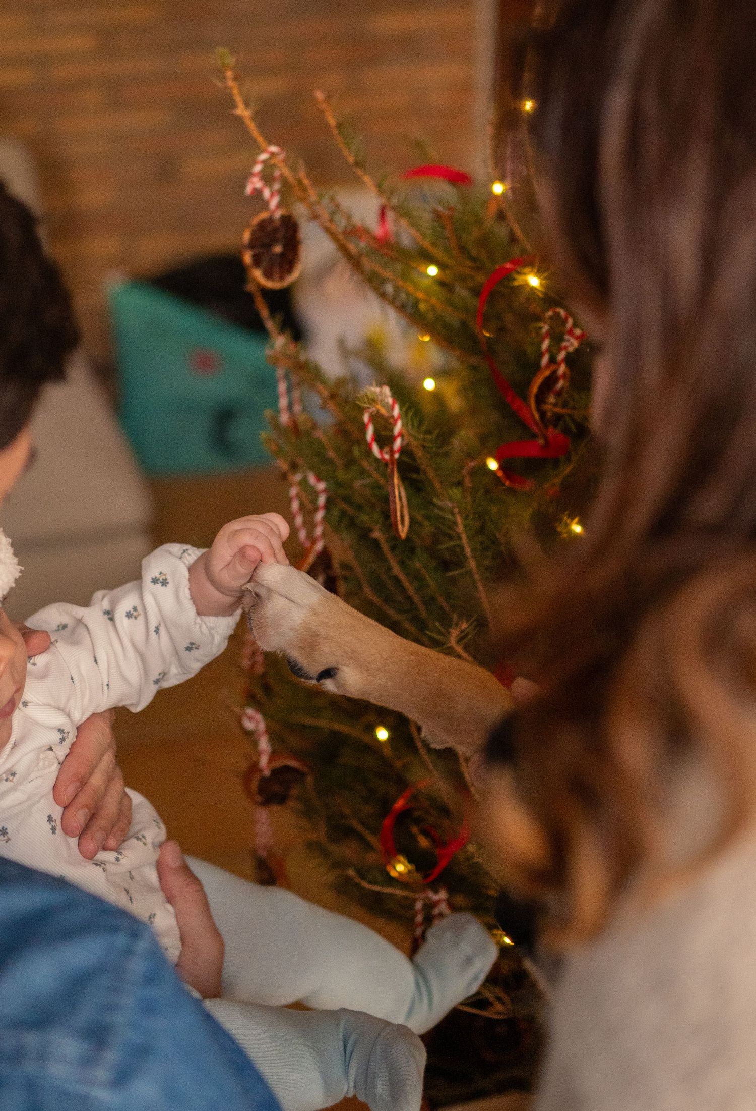 Close-up of people decorating a Christmas tree with ornaments and lights.