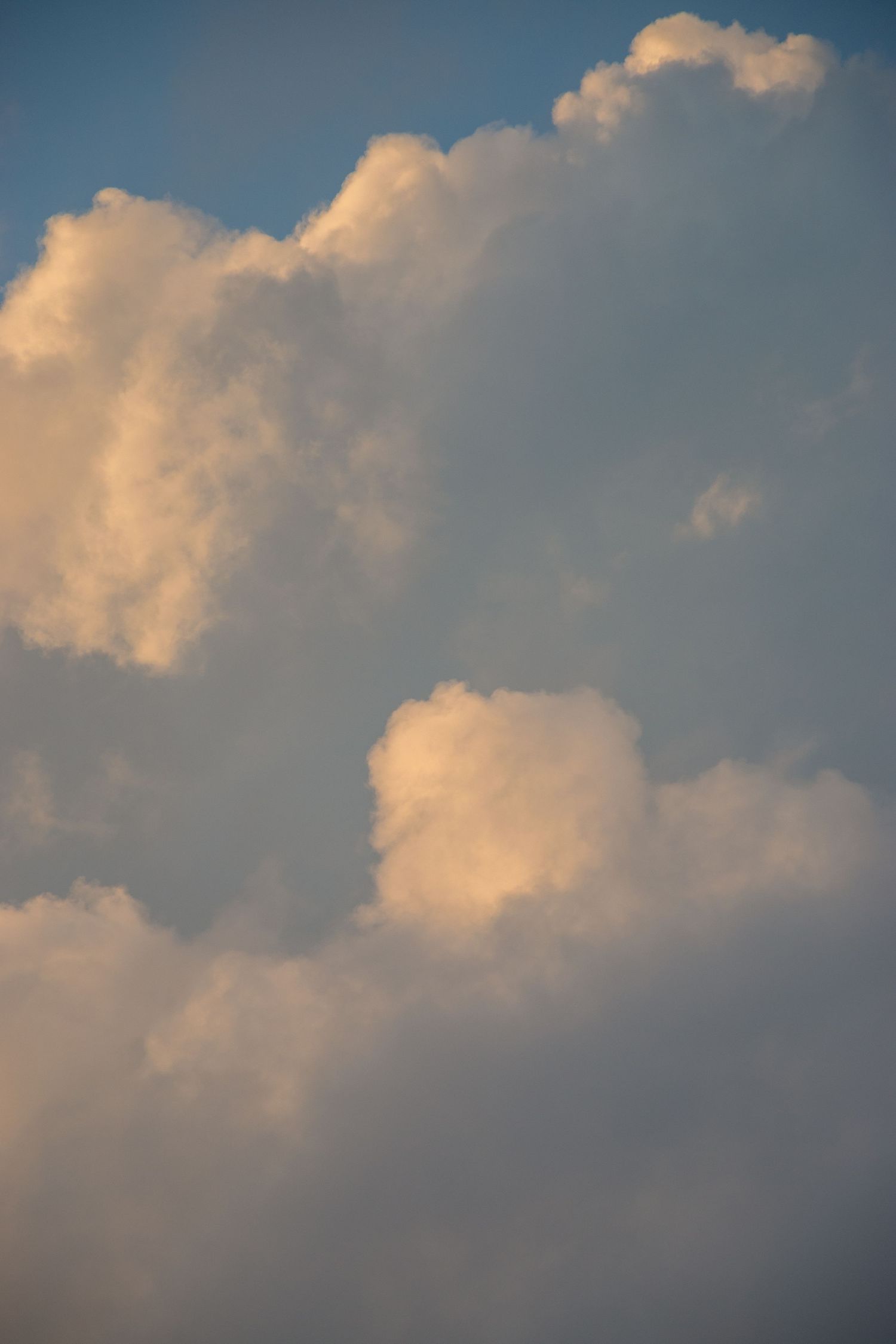Dramatic cumulus clouds glowing golden in late afternoon sunlight against blue sky.