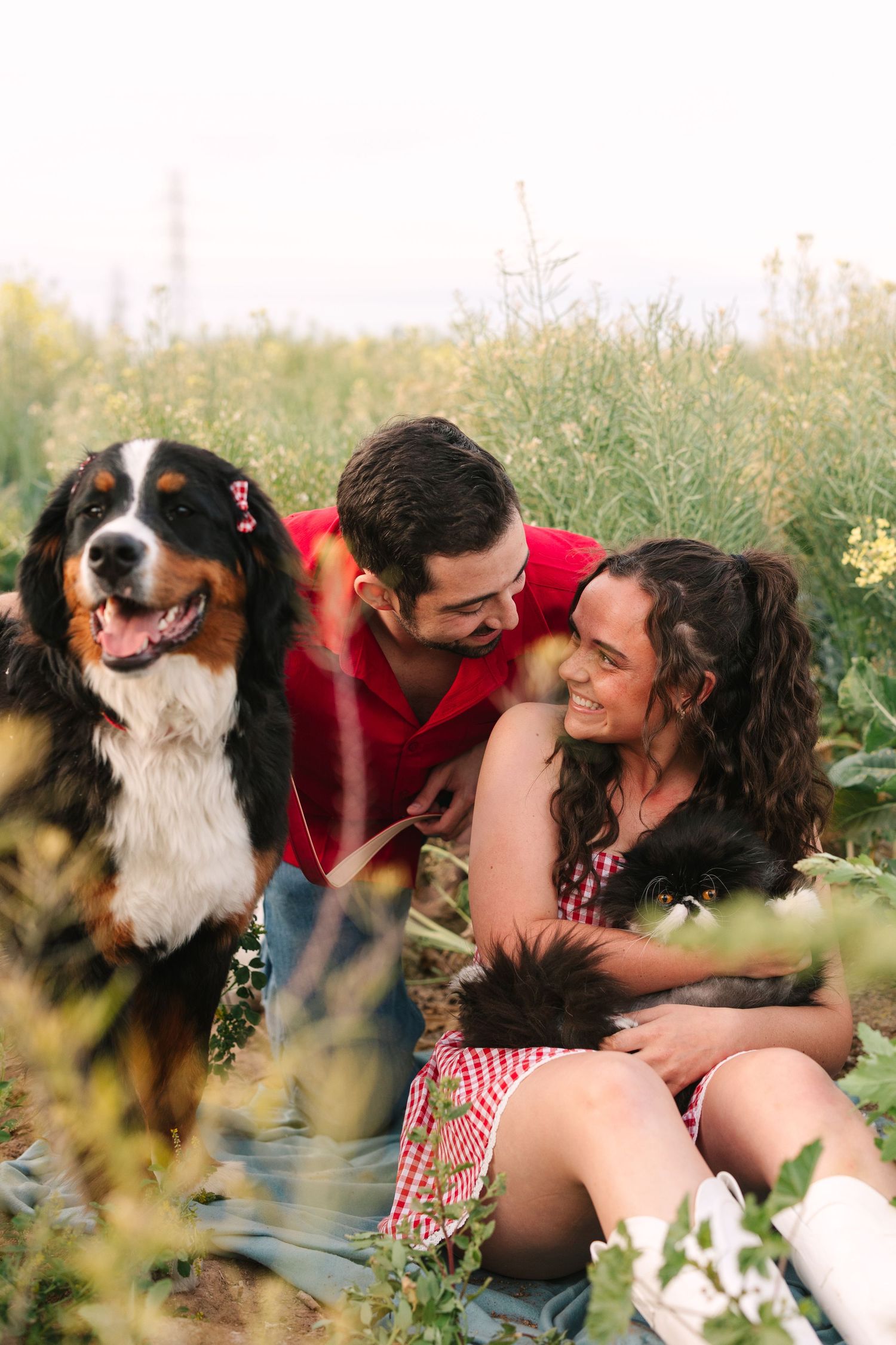 A happy couple and their dog share tender moments in a sunlit meadow during a romantic outdoor photoshoot.