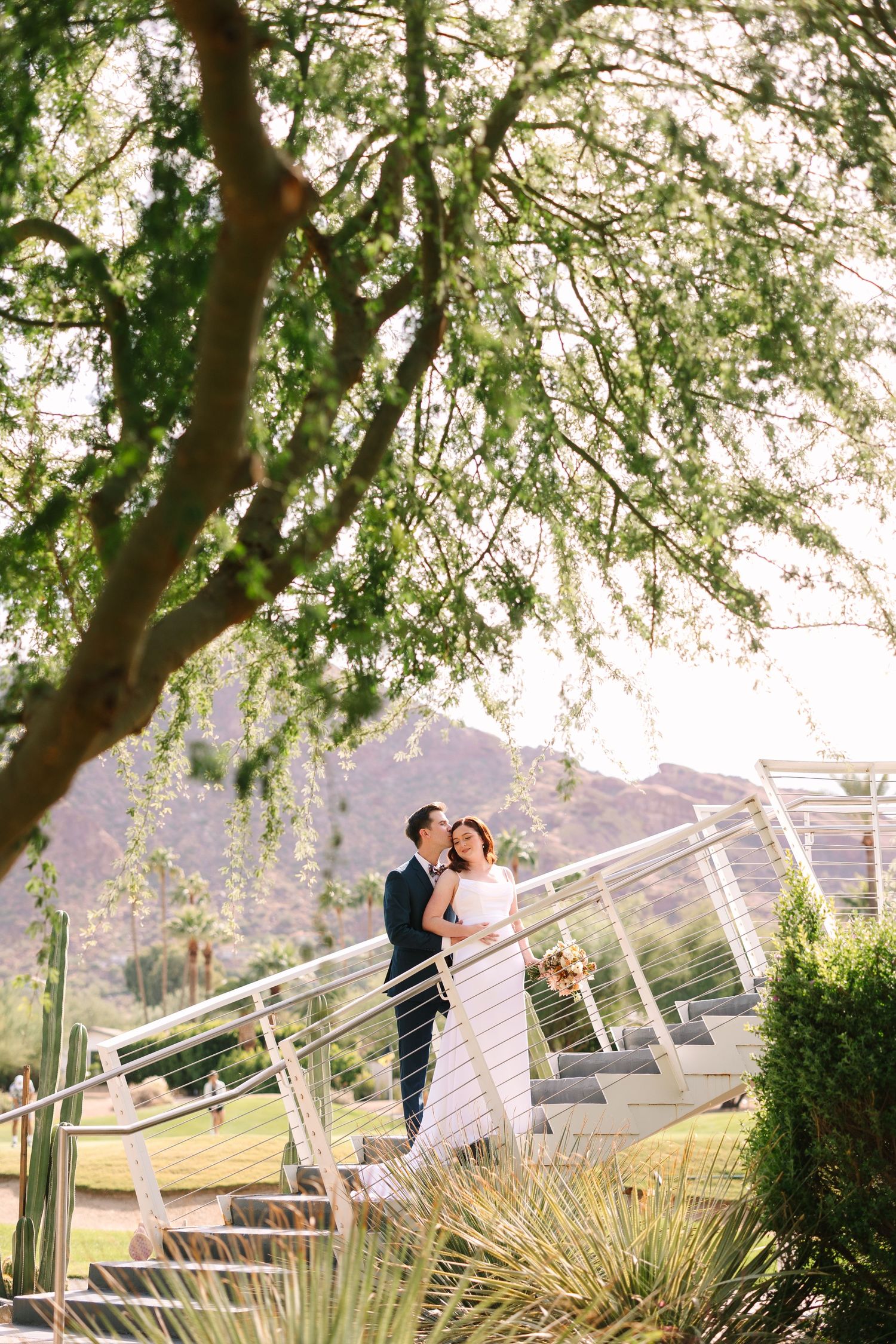 A romantic wedding photo captured under flowing tree branches with mountain views.