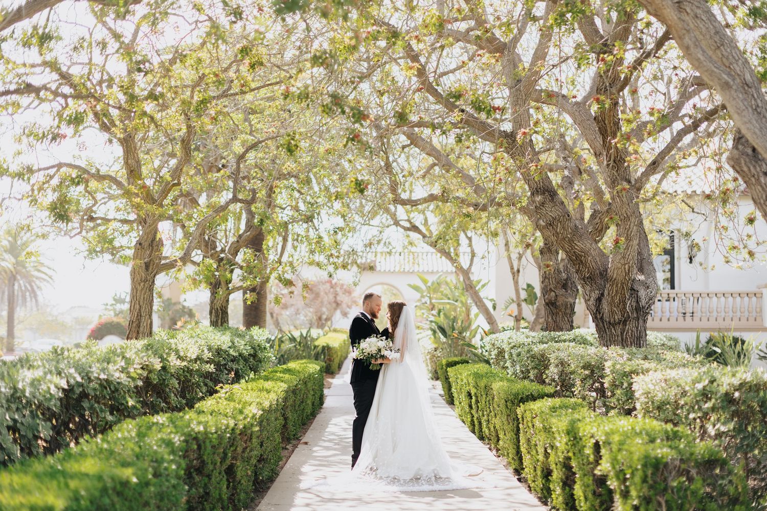Beautiful garden wedding ceremony under towering trees with manicured hedges lining white walkway.